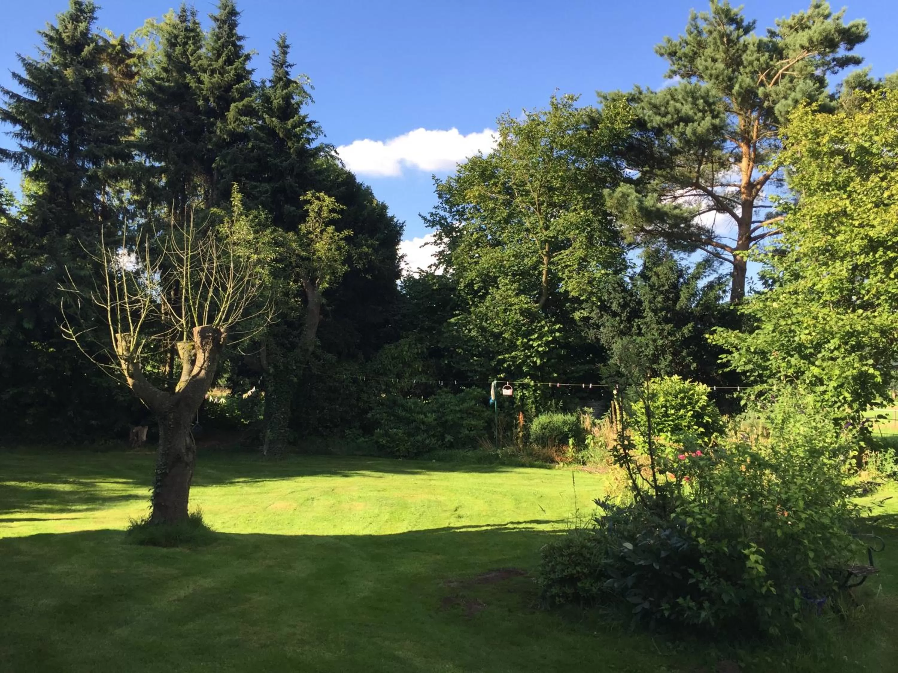 Garden in B&B Worpsweder Blick