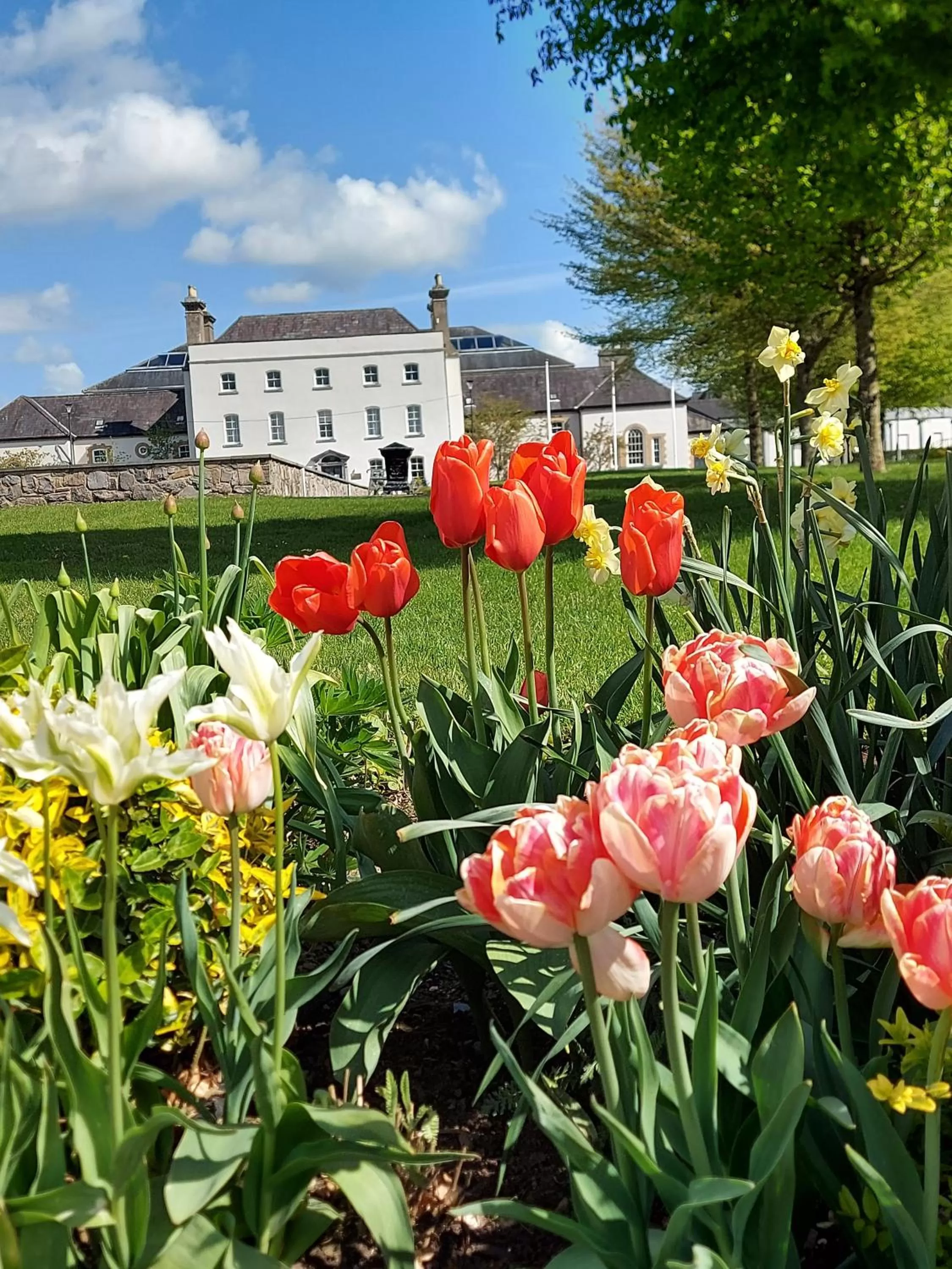 Property building in The Johnstown Estate