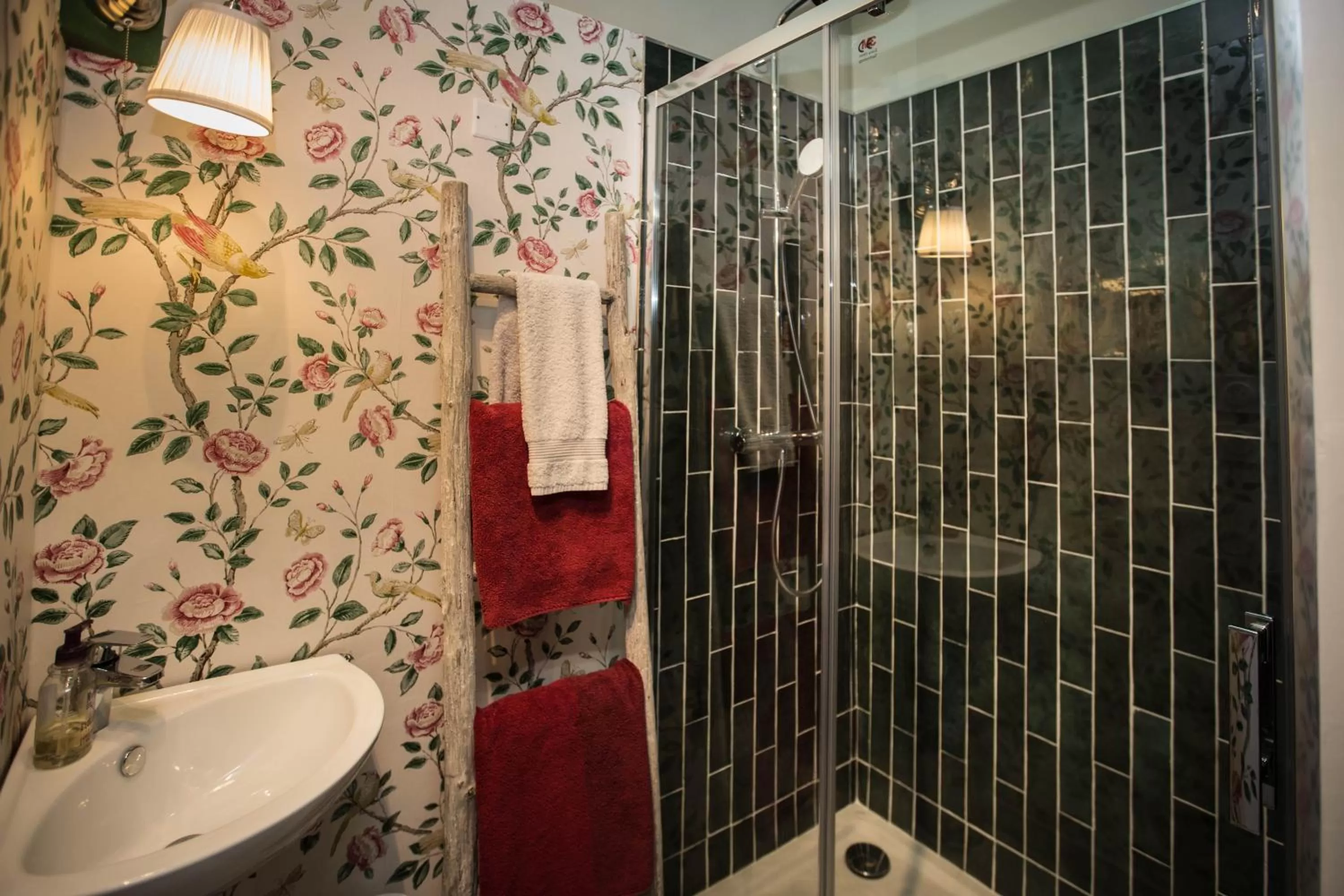 Shower, Bathroom in Carcassonne Bed and Breakfast du Palais