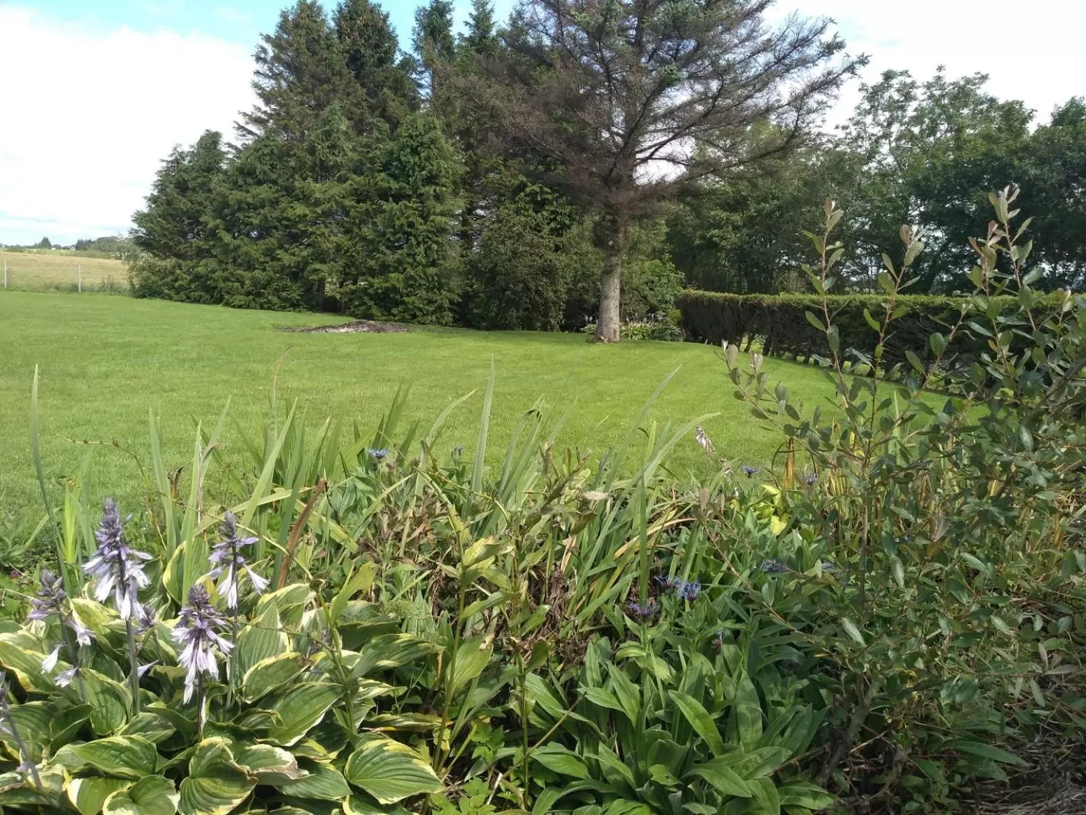 Garden in The Crossings