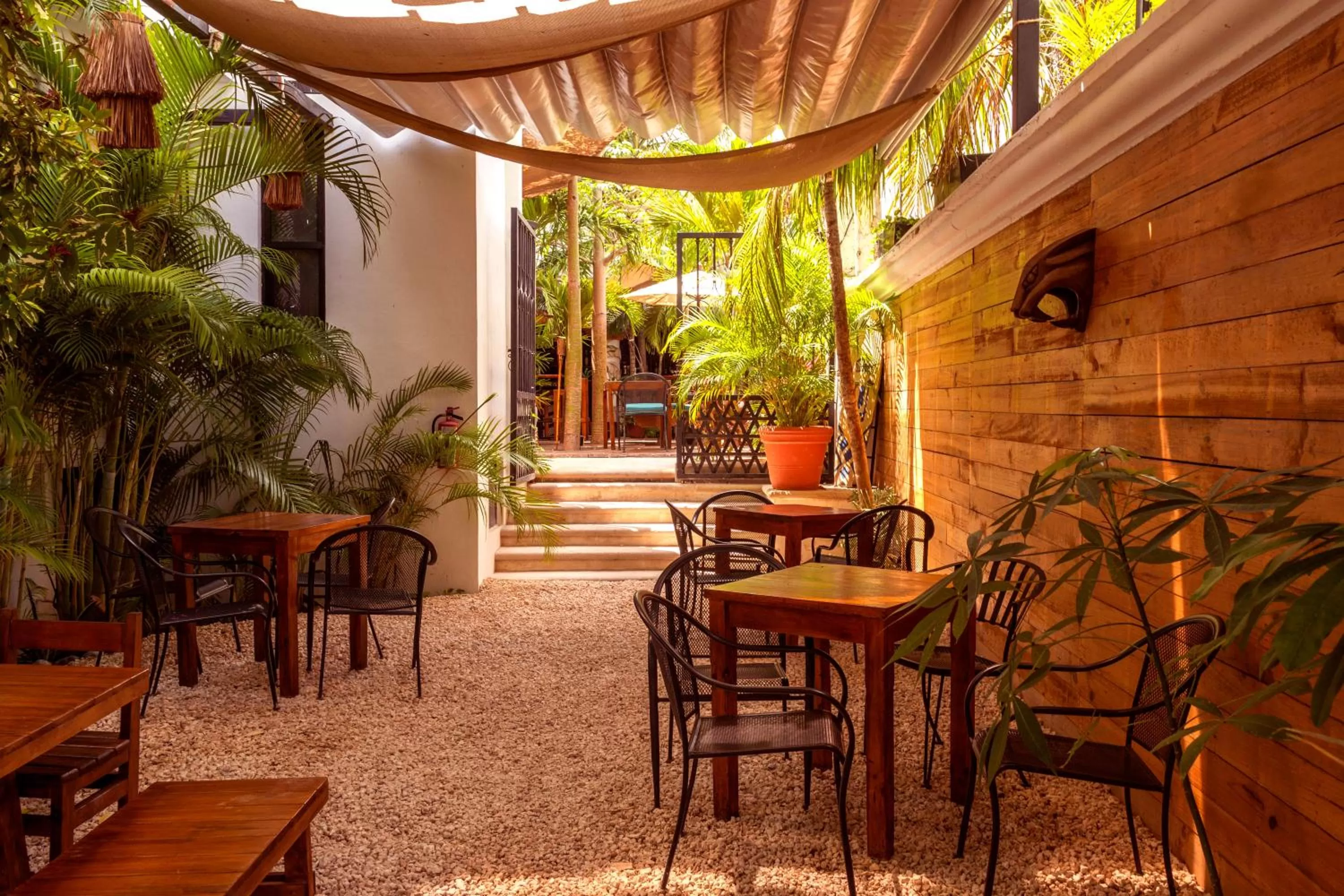 Restaurant/places to eat in Mezcal Hotel