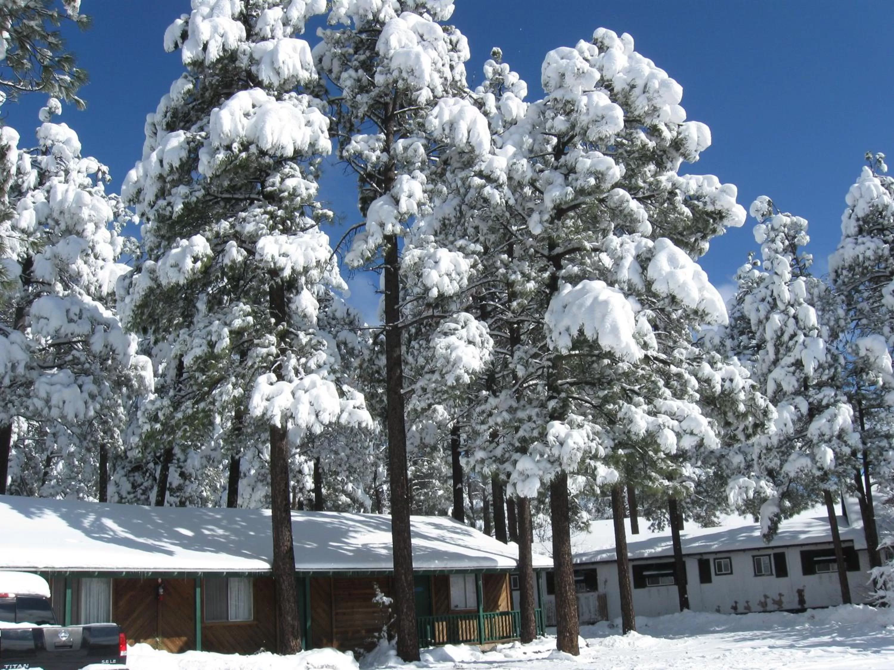 Property building, Winter in TimberLodge Inn