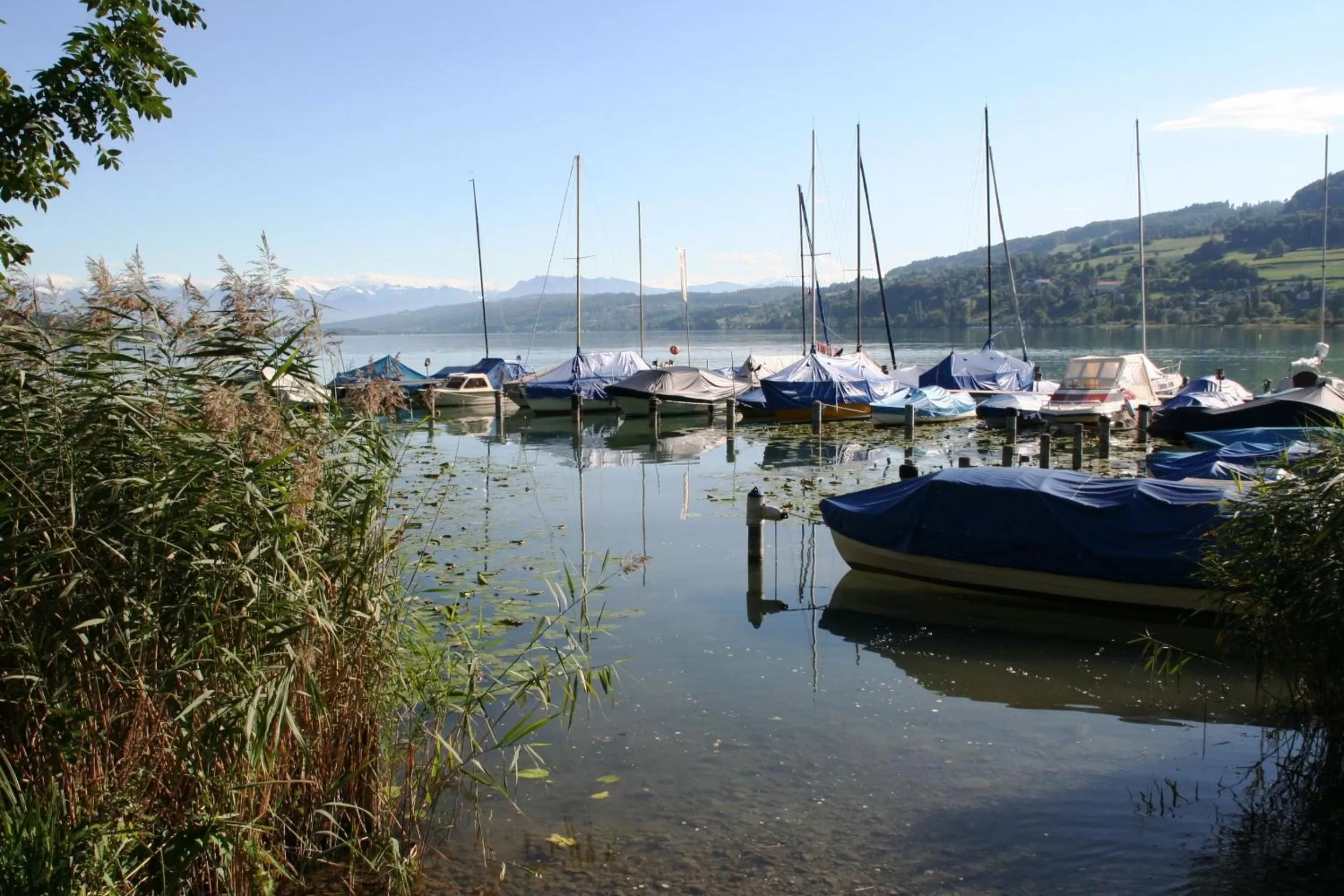 Natural landscape in Seehotel Delphin