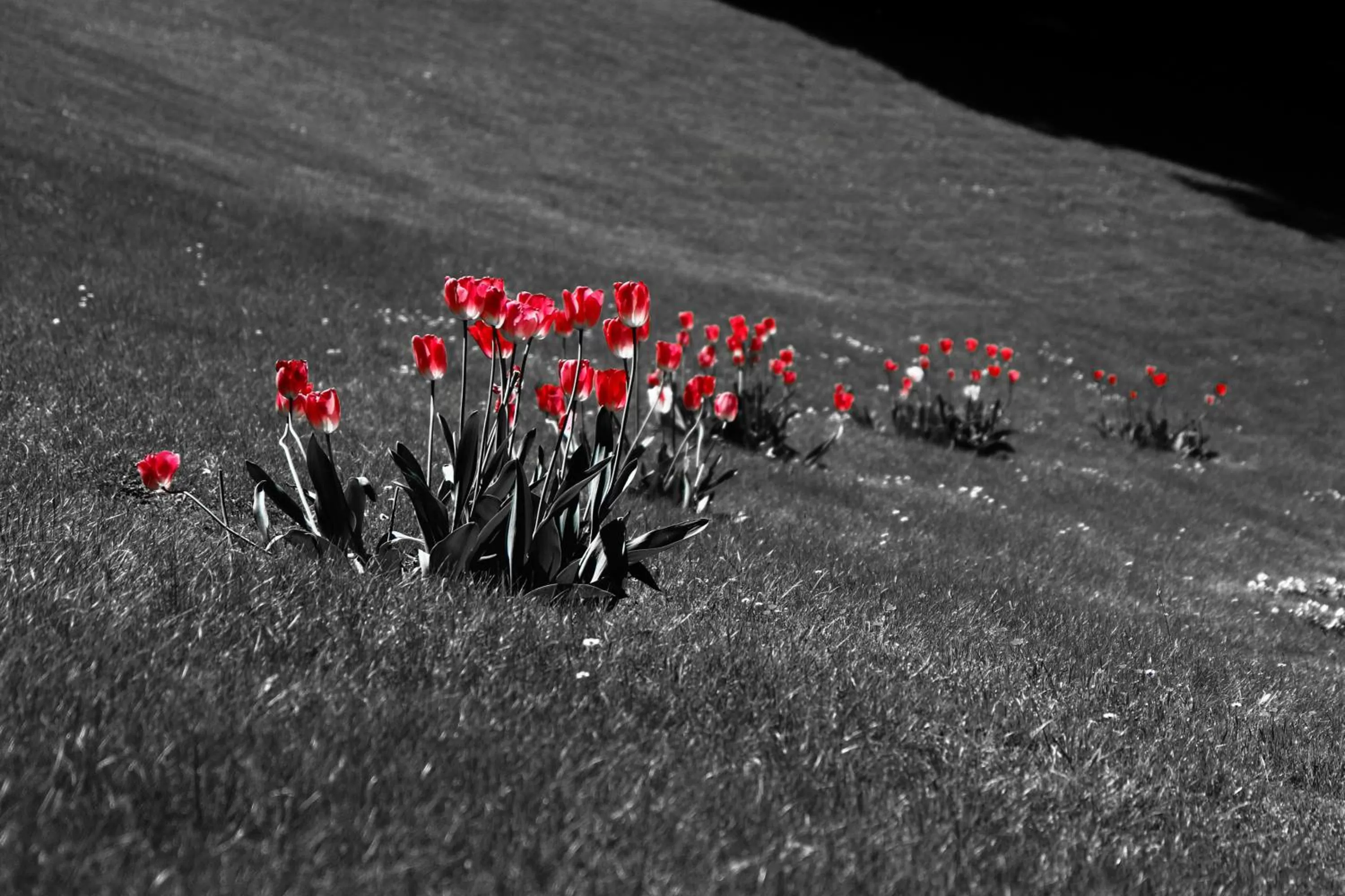 Hiking in Hotel Fiorentino