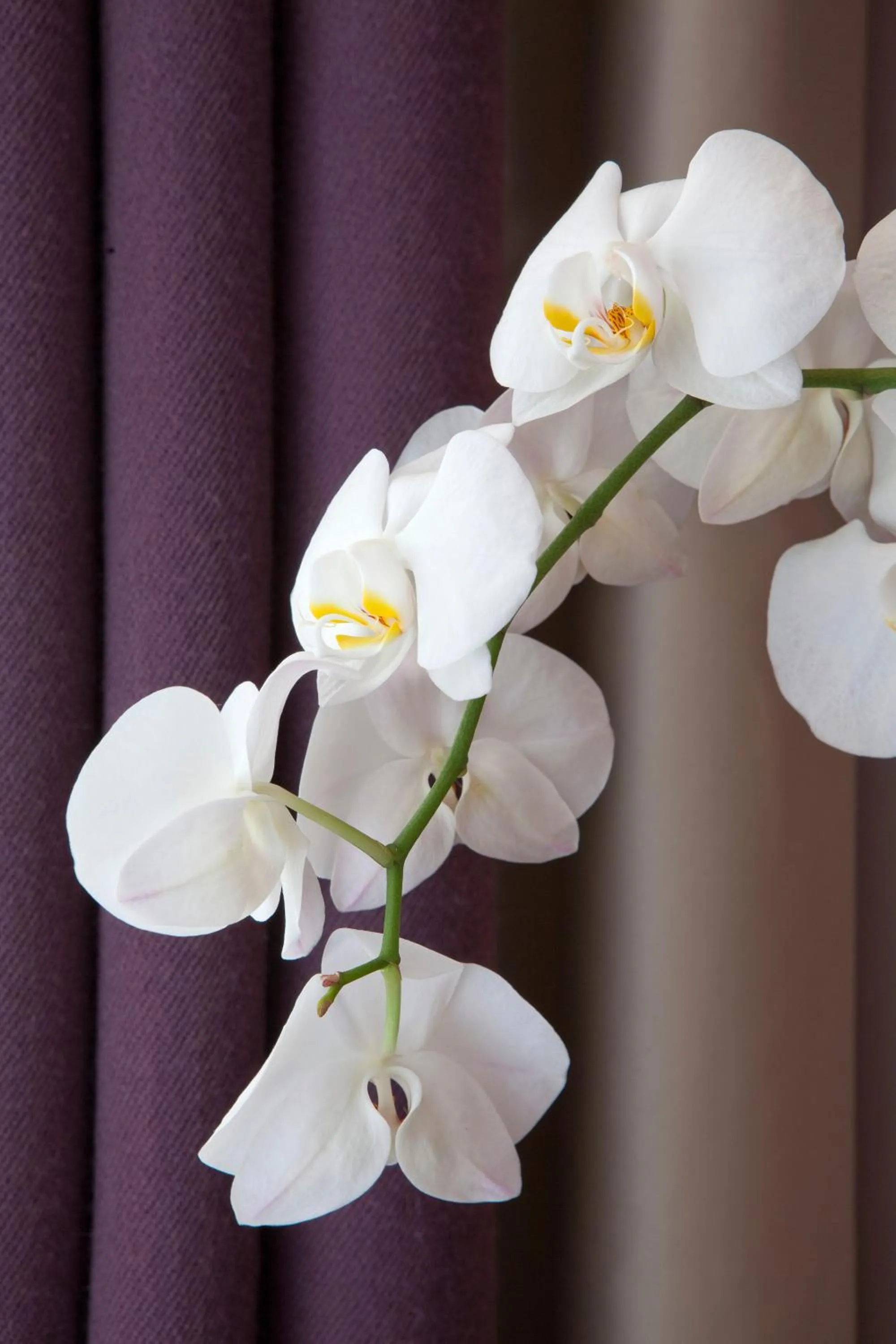 Decorative detail in Hotel Duret Paris Champs Elysées