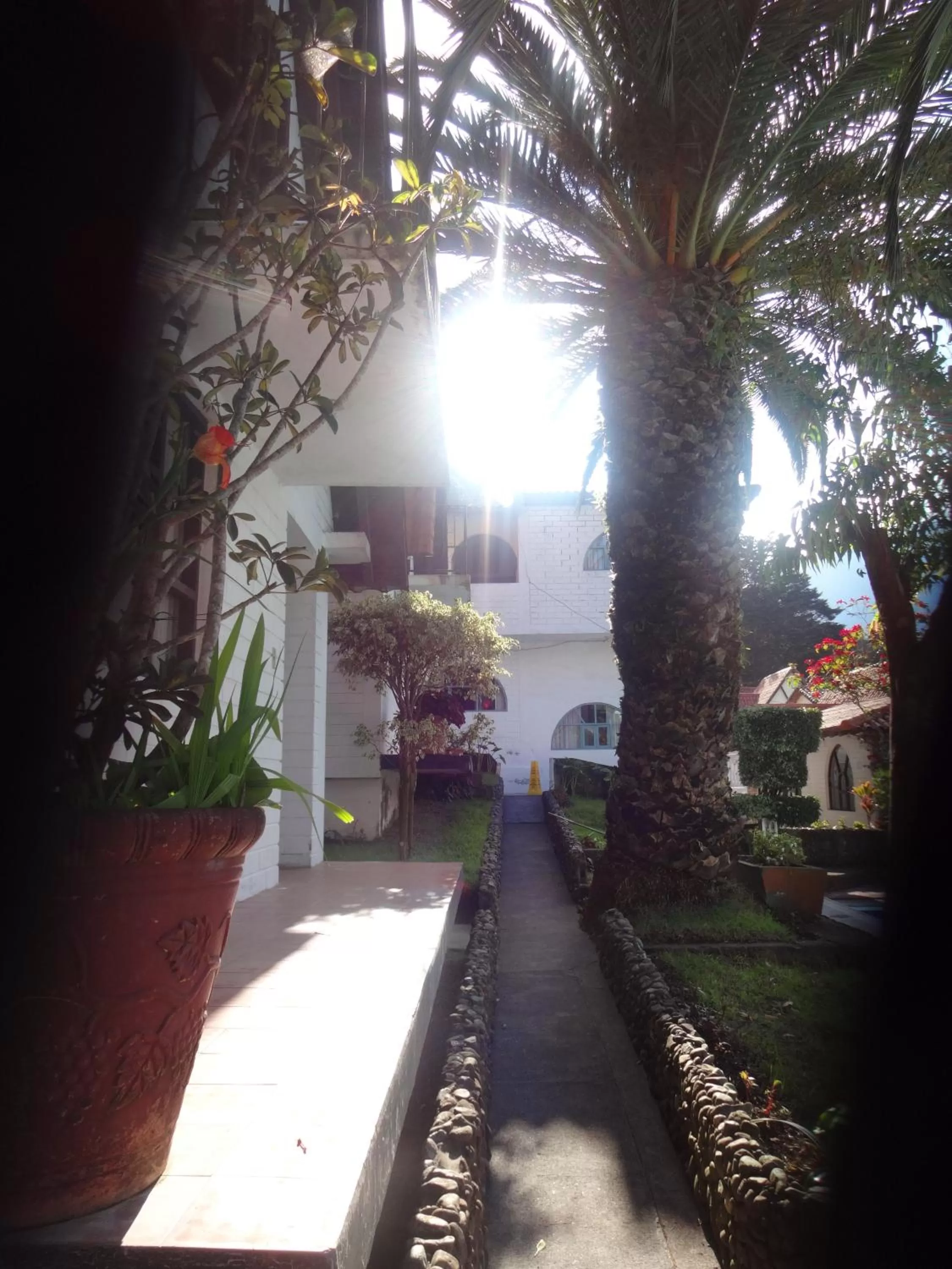 Patio in Hosteria Casa Giralda