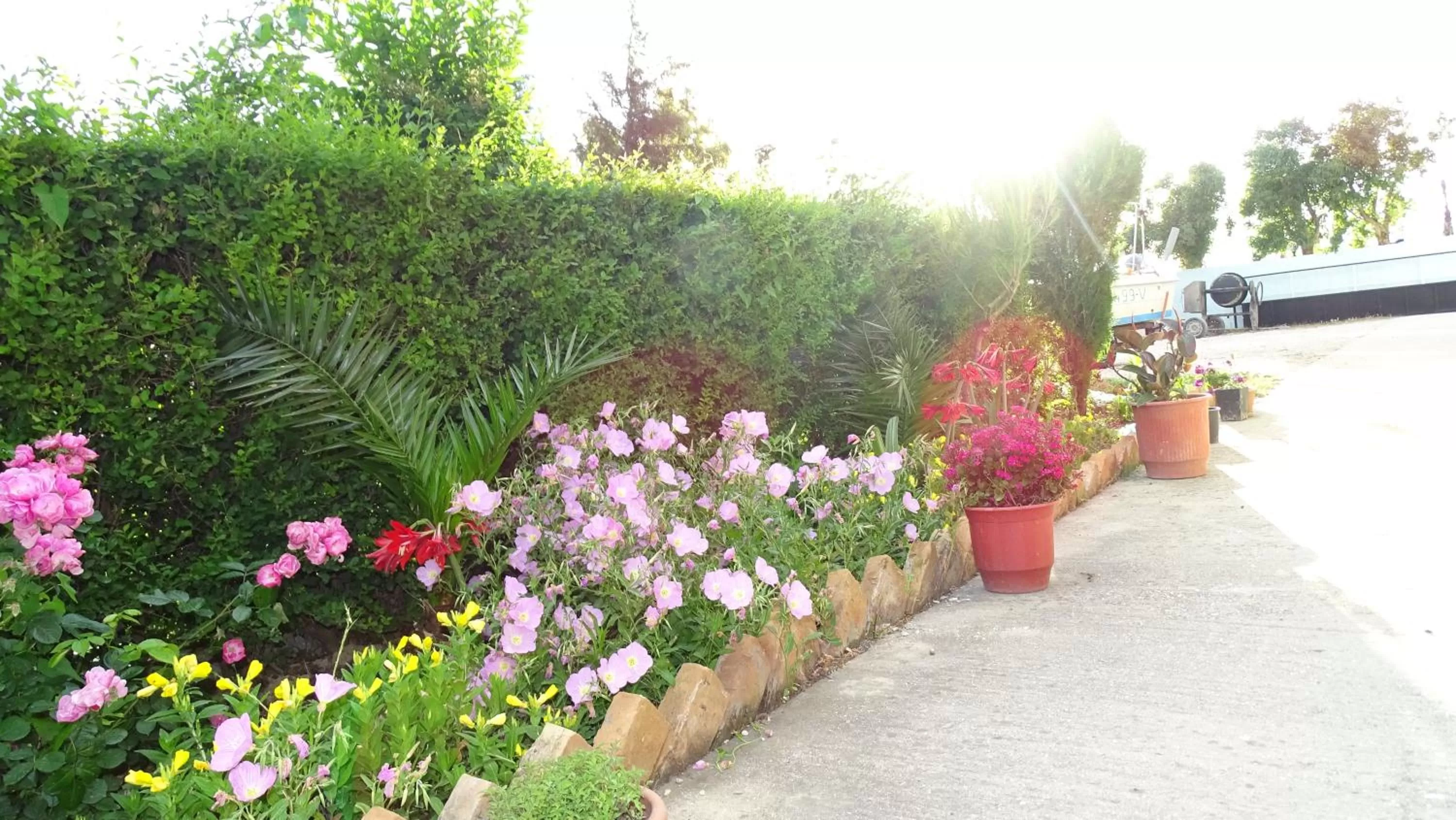 Day in Hotel Alba-Gert