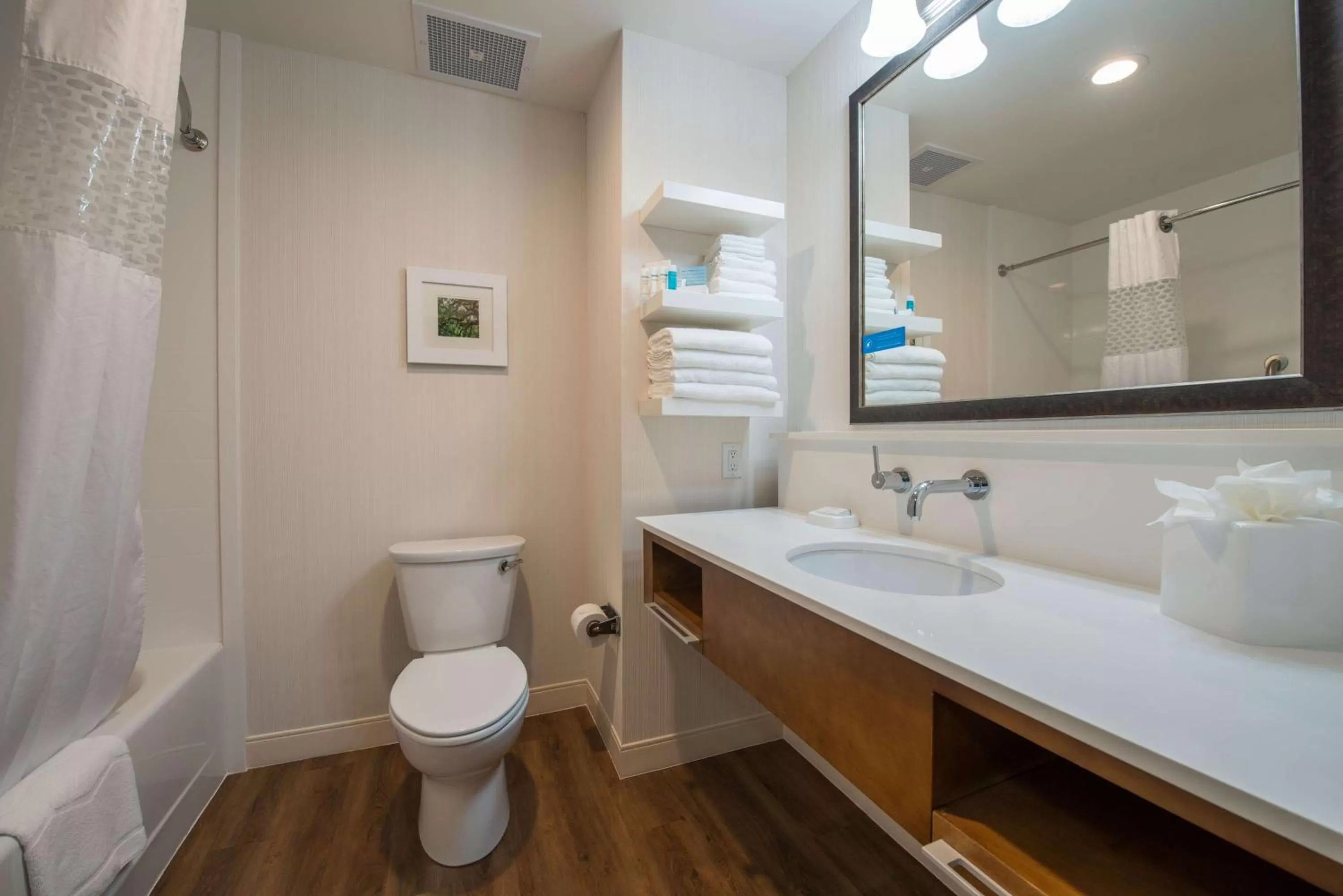 Bathroom in Hampton Inn Waynesboro