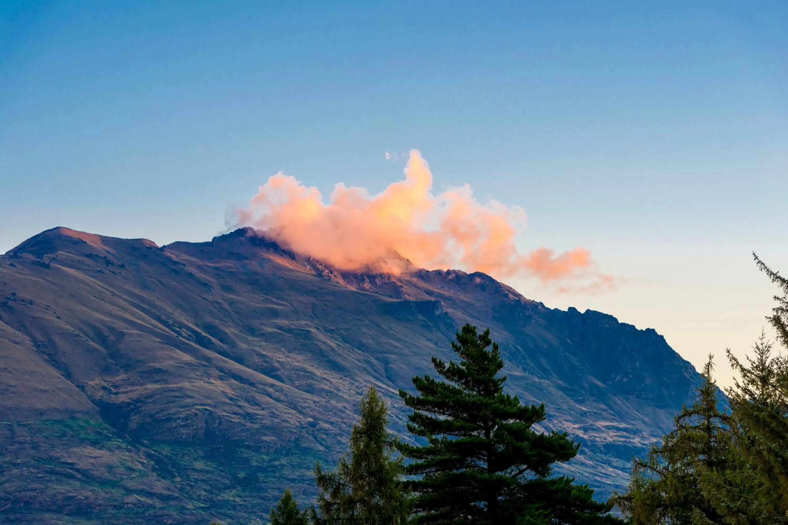 Natural landscape in Oaks Queenstown Shores Resort
