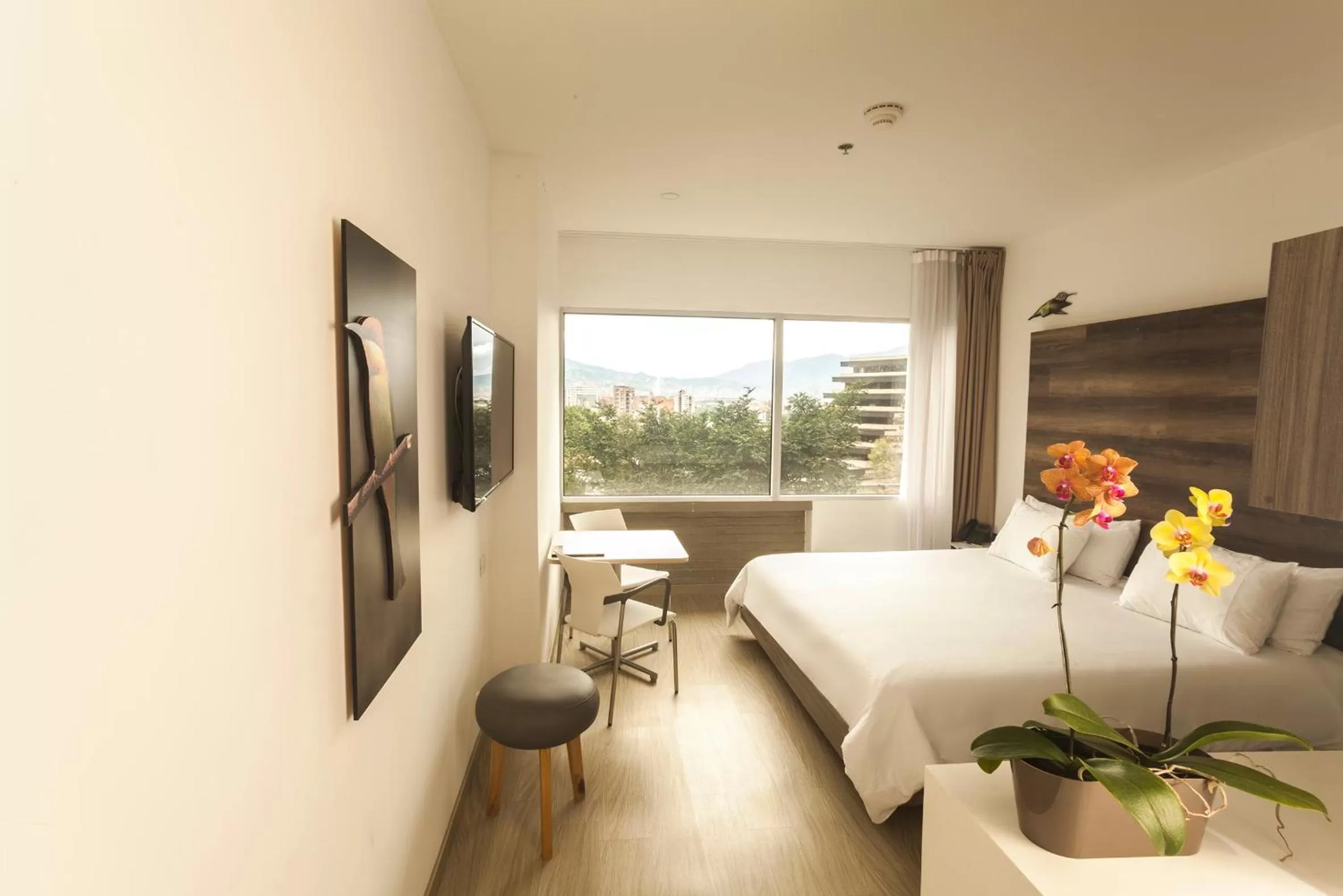 Photo of the whole room, Bed in Viaggio Medellín Grand Select