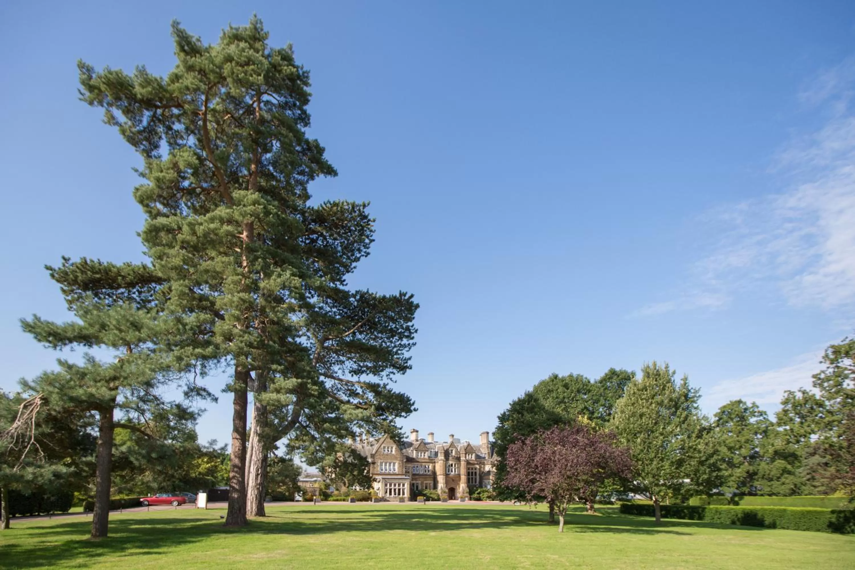 Garden in Hartsfield Manor