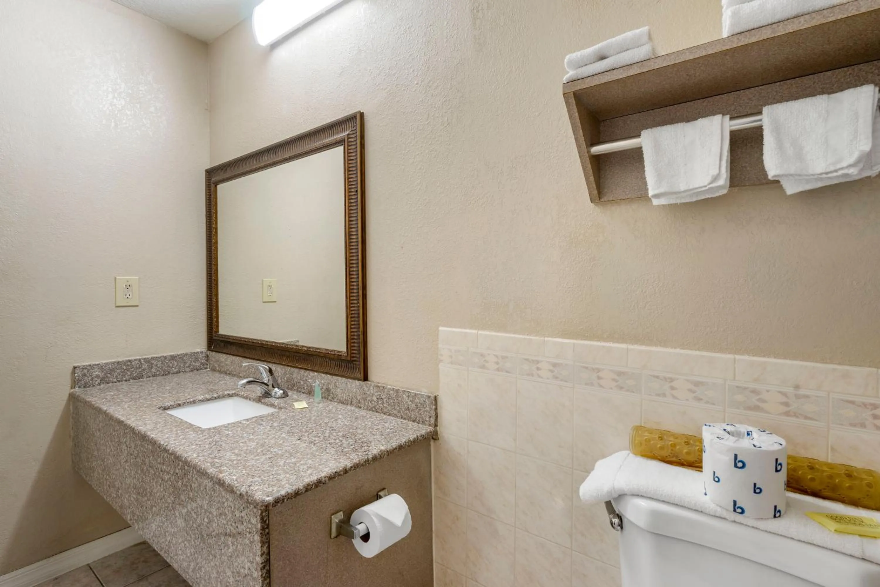 King Room - Accessible/Non-Smoking in Rodeway Inn Clearwater-Largo