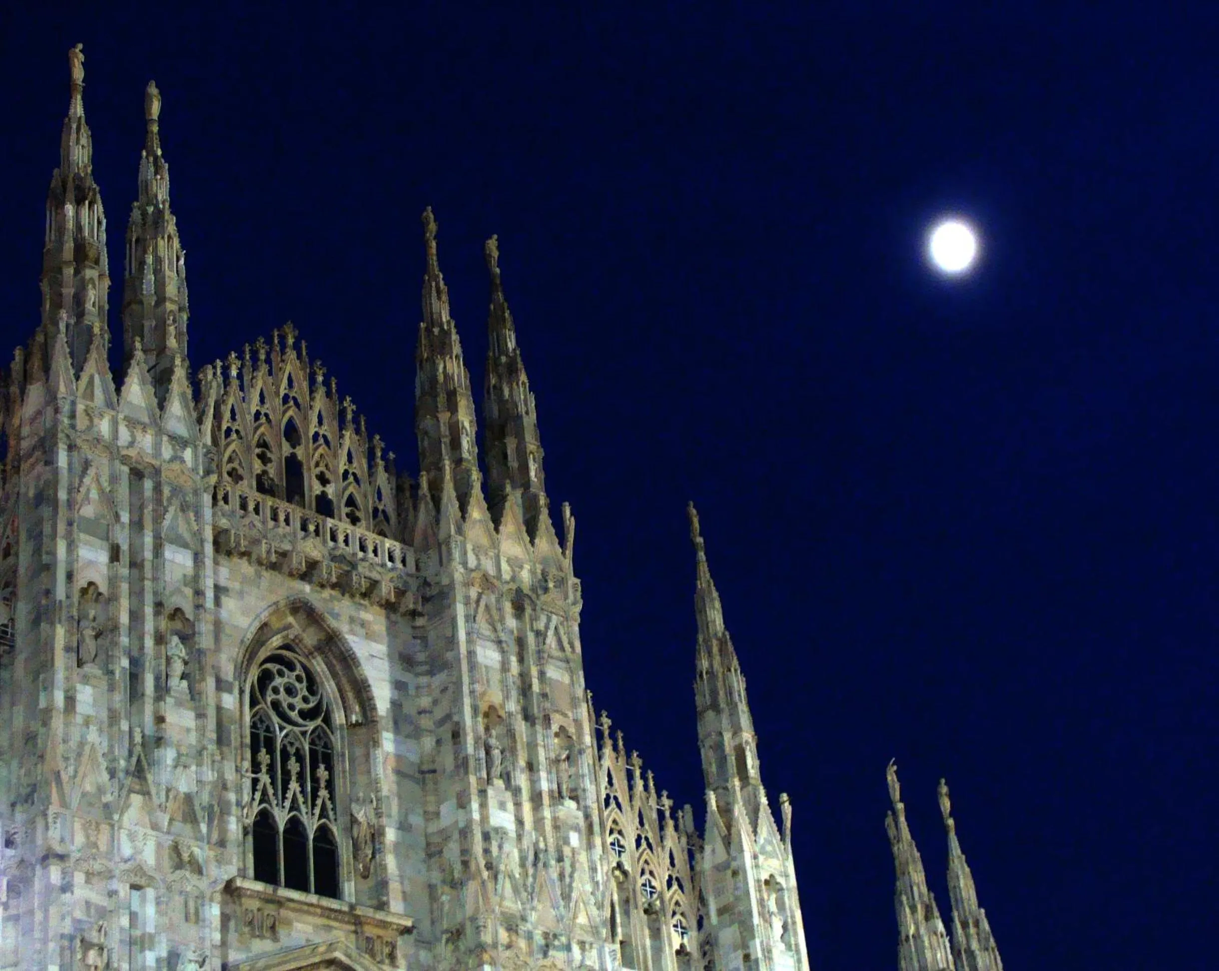 Area and facilities in Hotel Paradiso