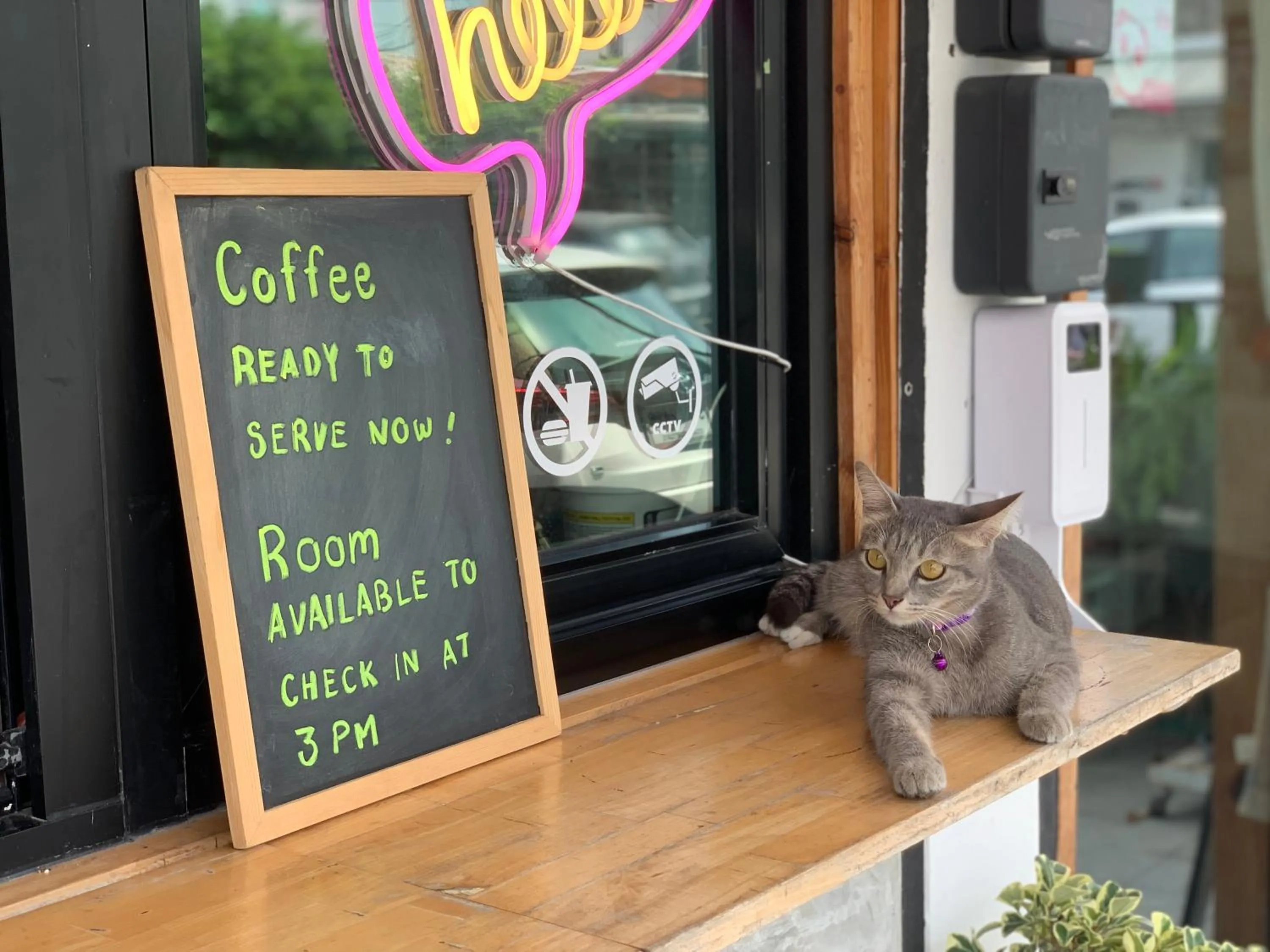 Property building in Sleep Sheep Phuket Hostel SHA