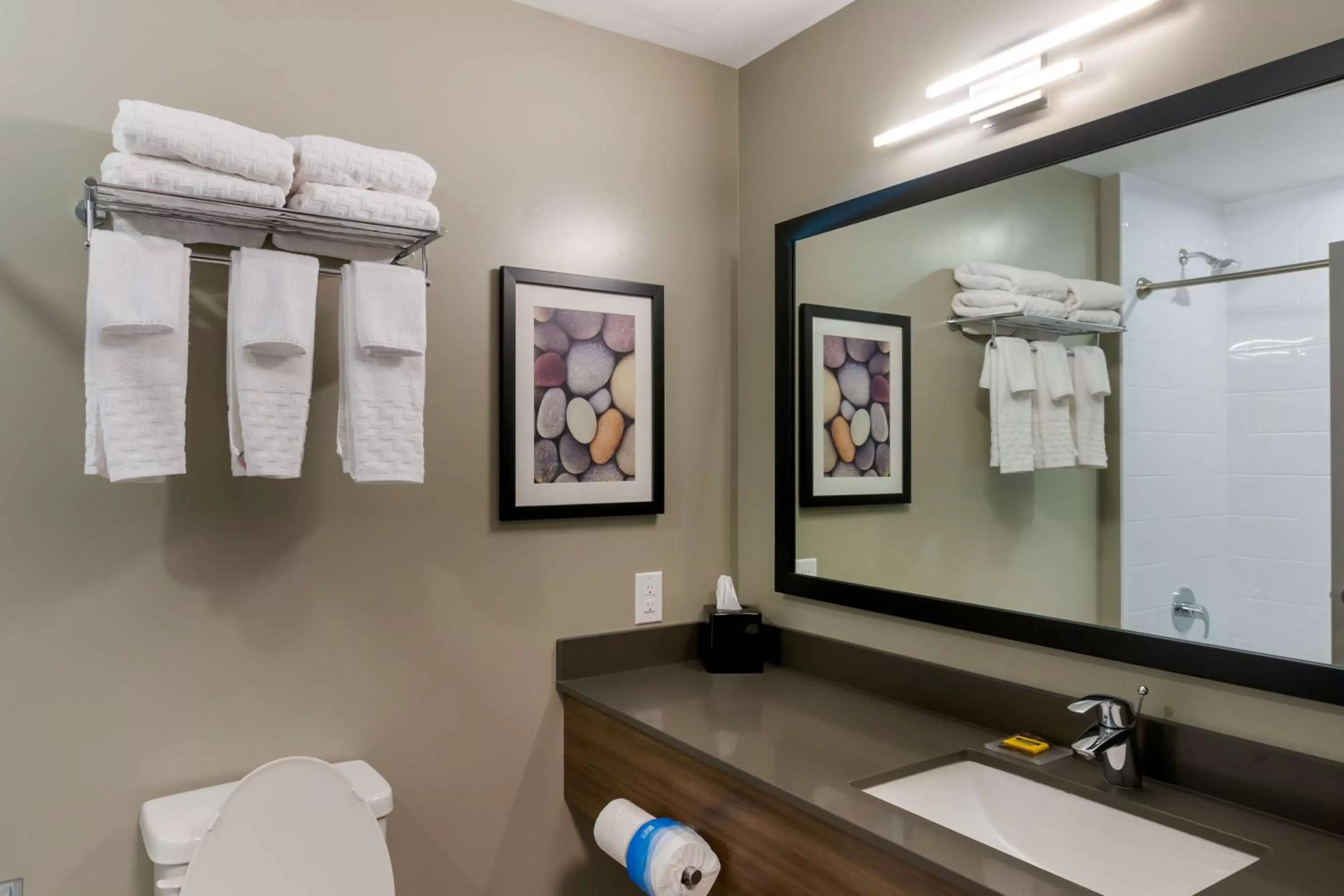 Bathroom in Best Western Plus Dauphin