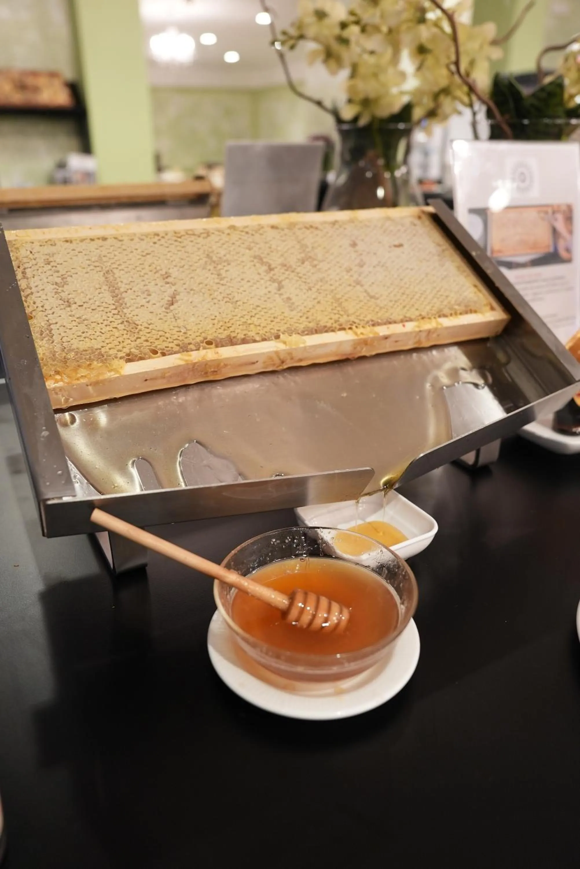 Food and drinks in Hotel Puccini