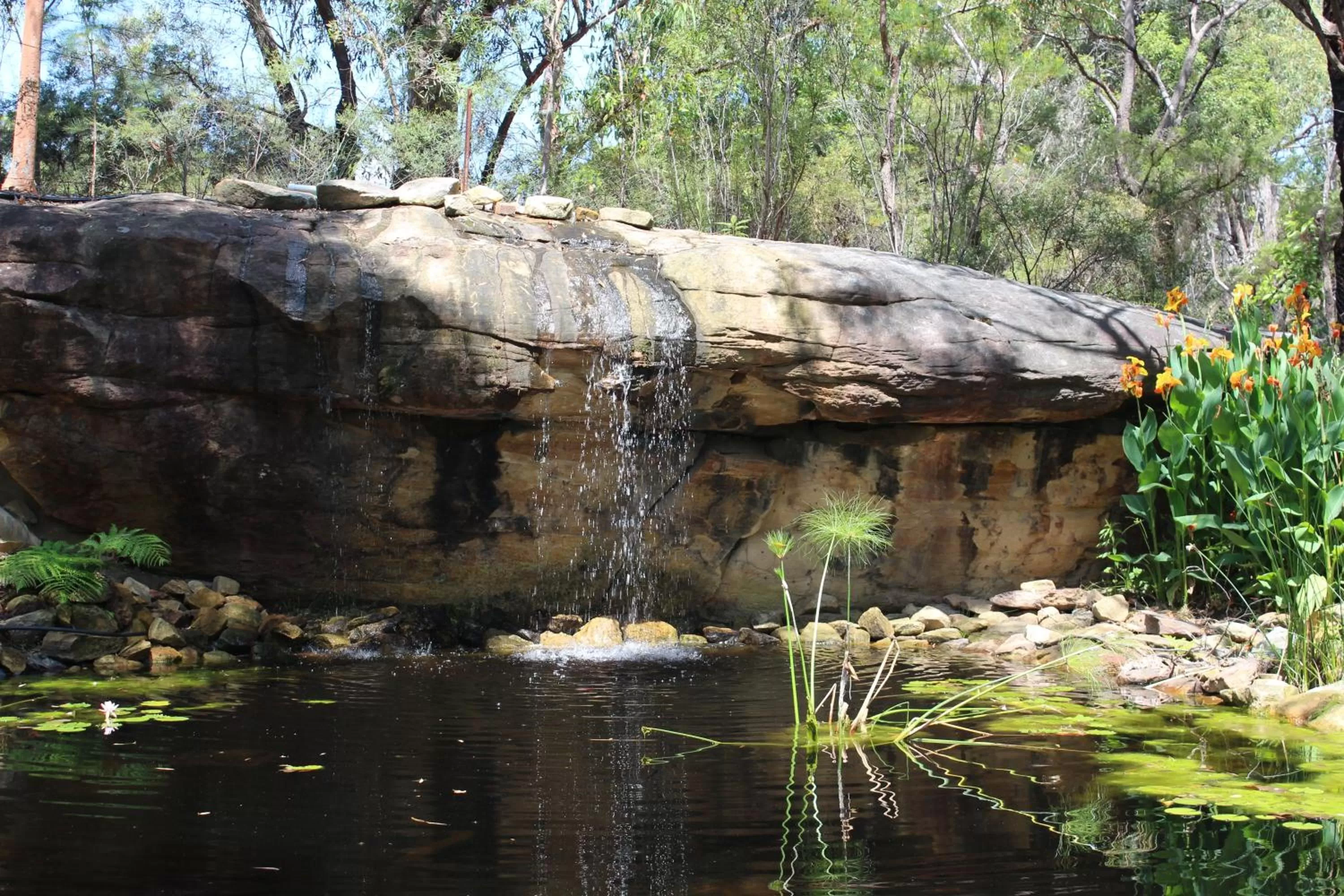 Garden in Storey Grange