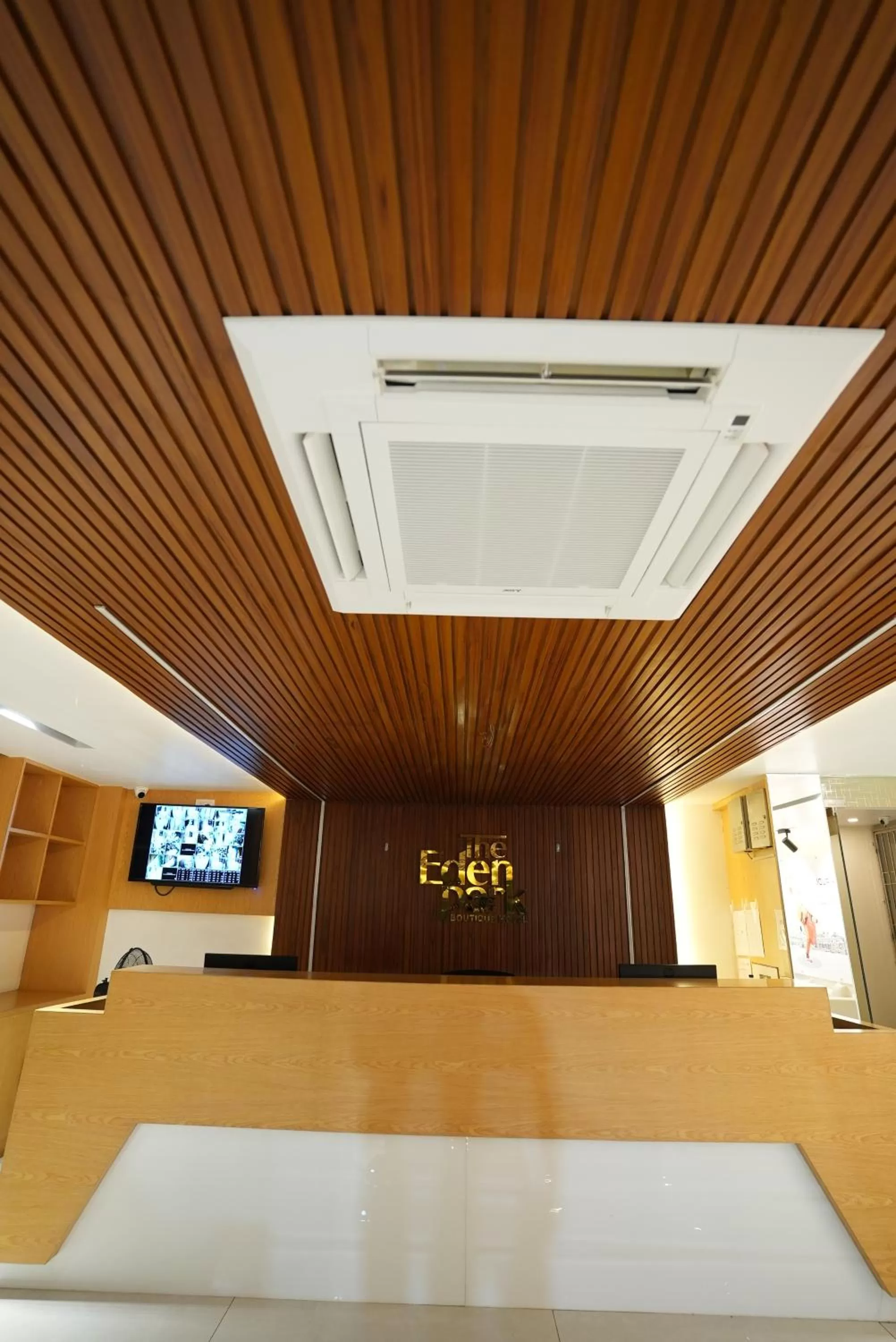 TV and multimedia in Eden Park Boutique Hotel