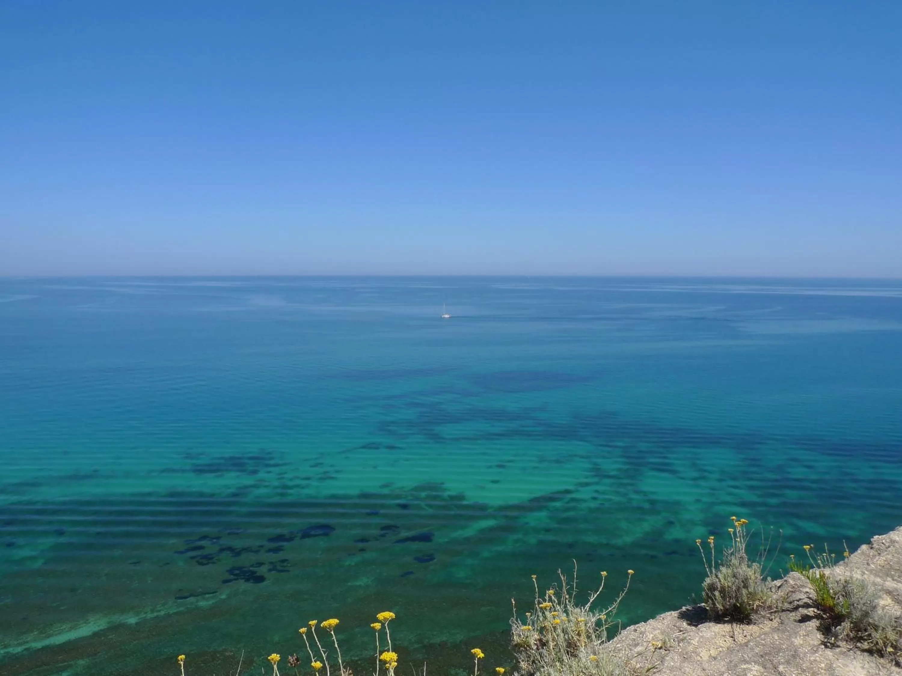 Area and facilities in Hotel Alexander