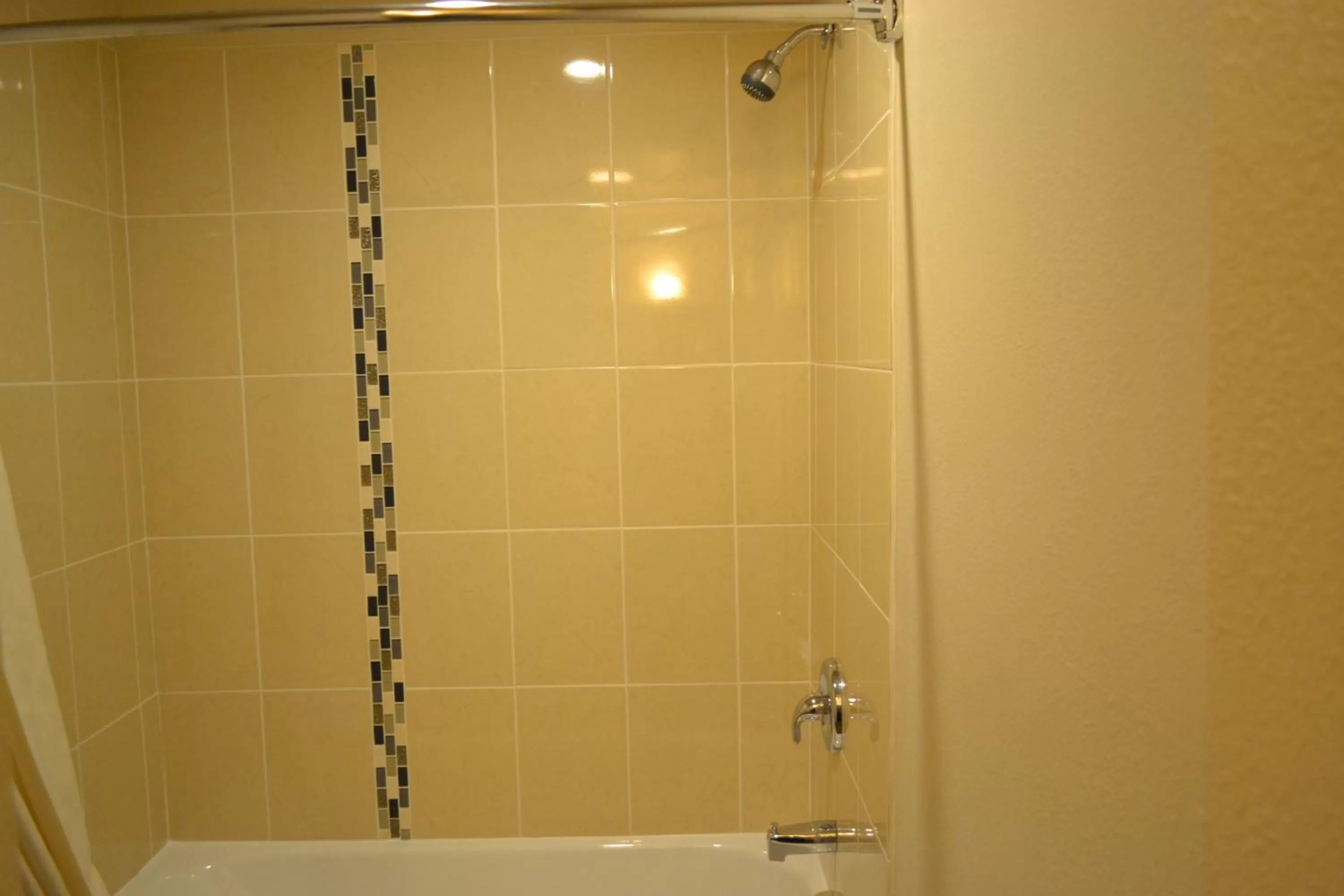 Other in Skyway Inn - Seatac