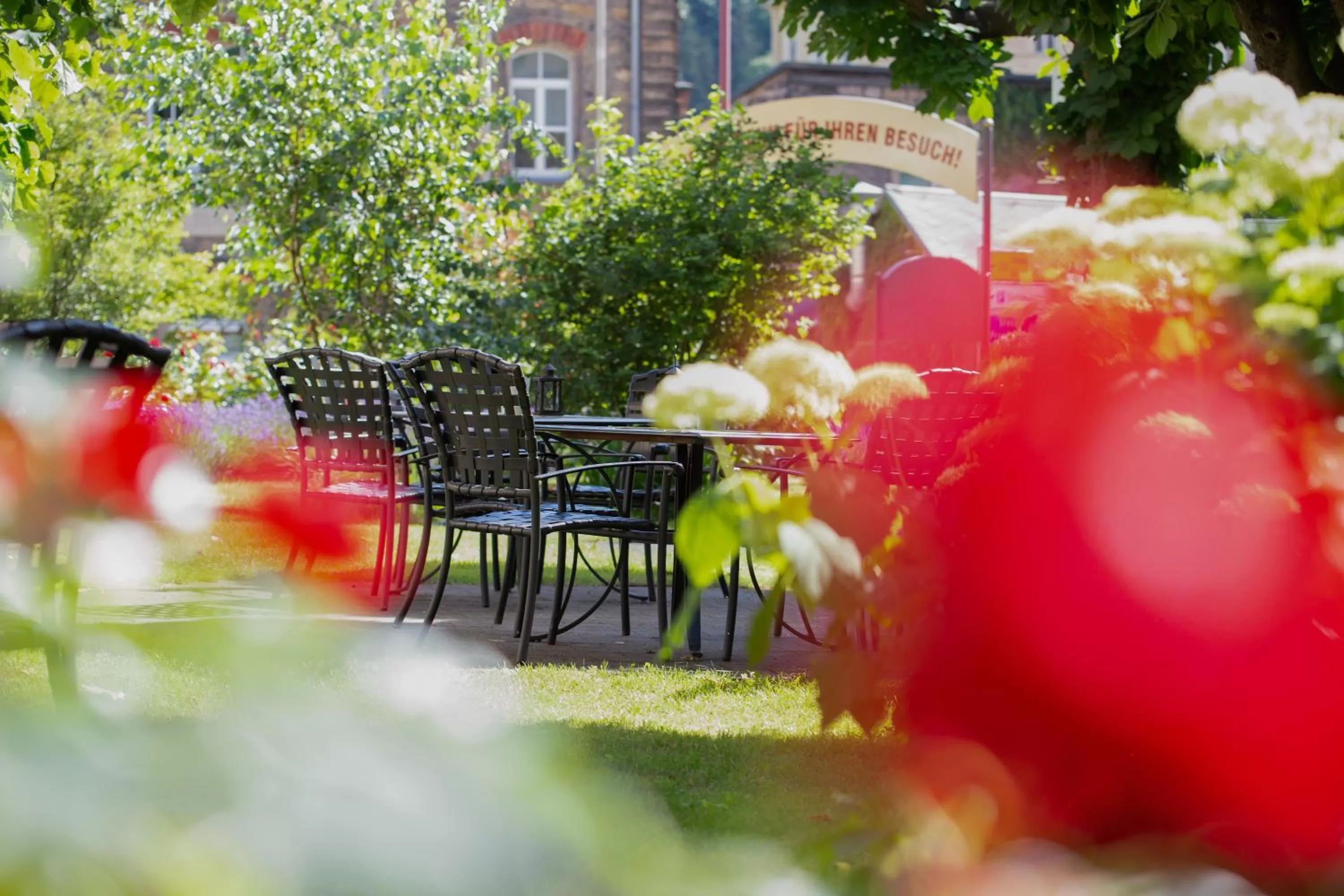 Garden in Hotel Lindenhof Bad Schandau