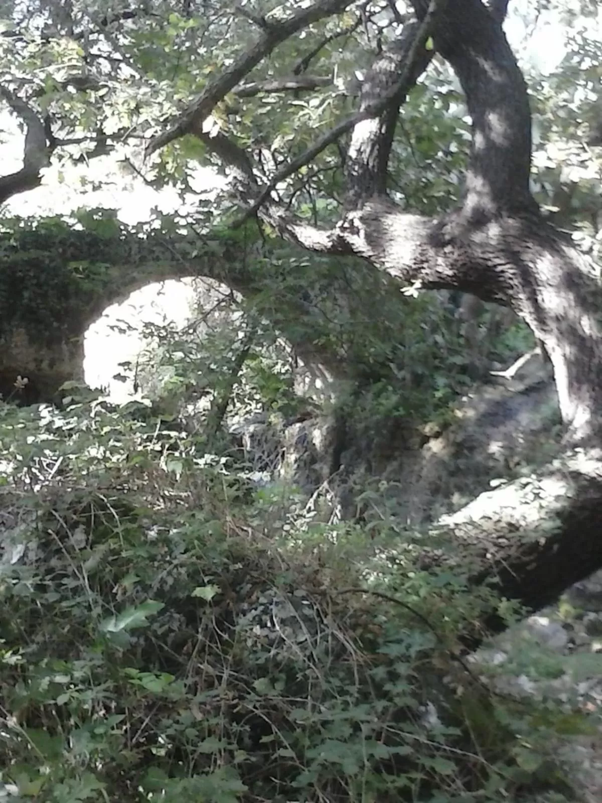 Natural landscape in B&B Lo Smeraldo