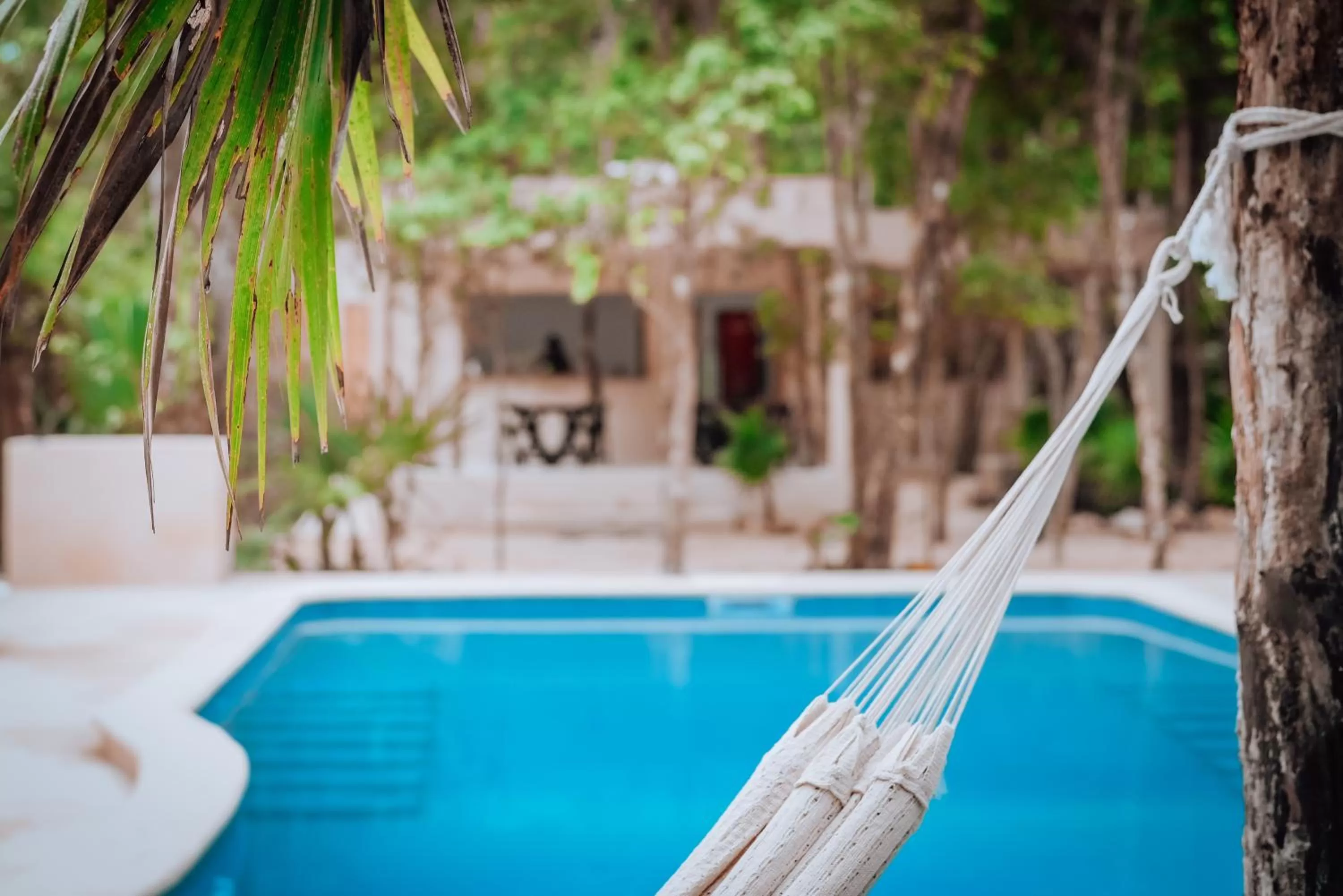 Pool view, Swimming Pool in Lunita Jungle Experience