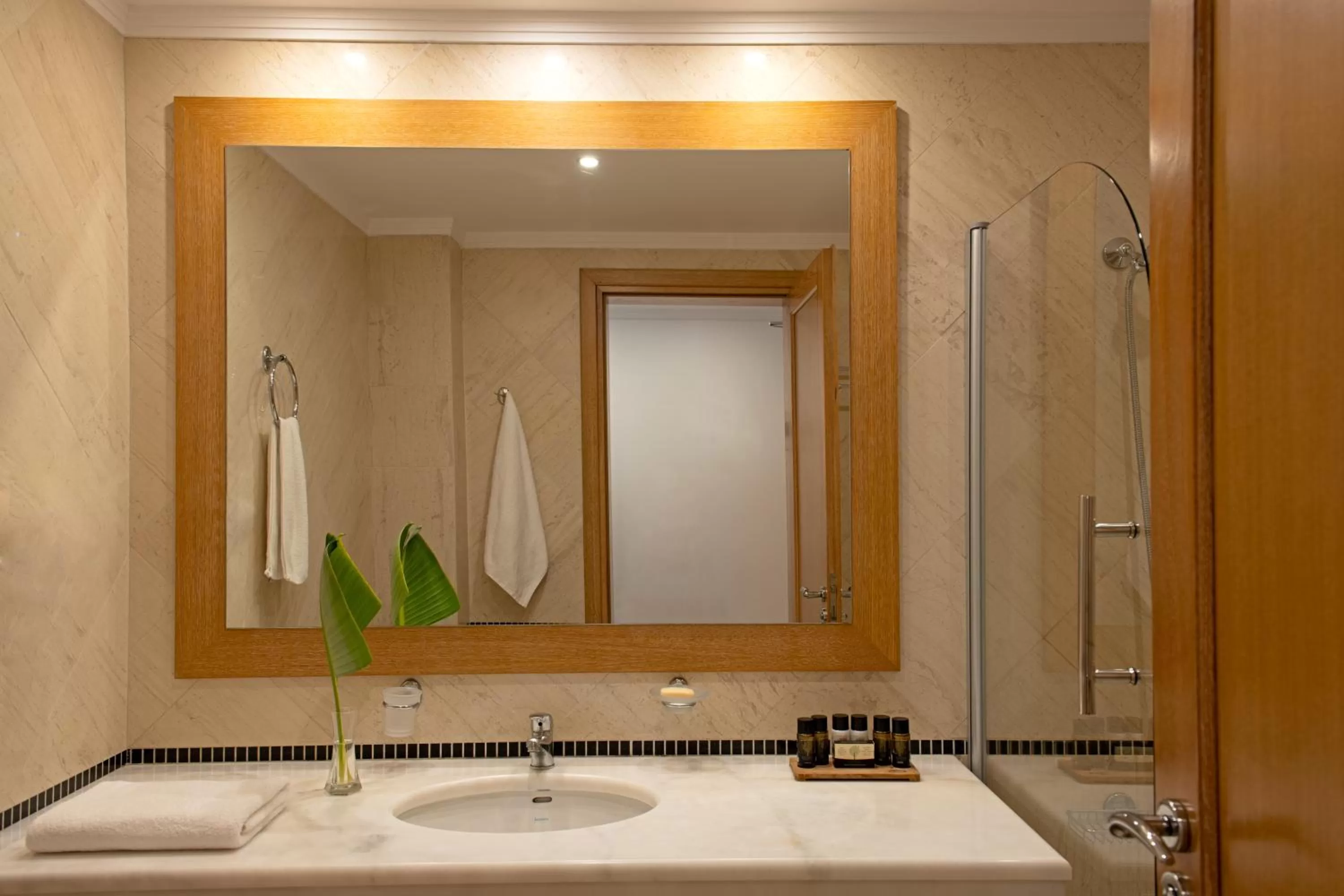 Twin Garden View in Mitsis Norida