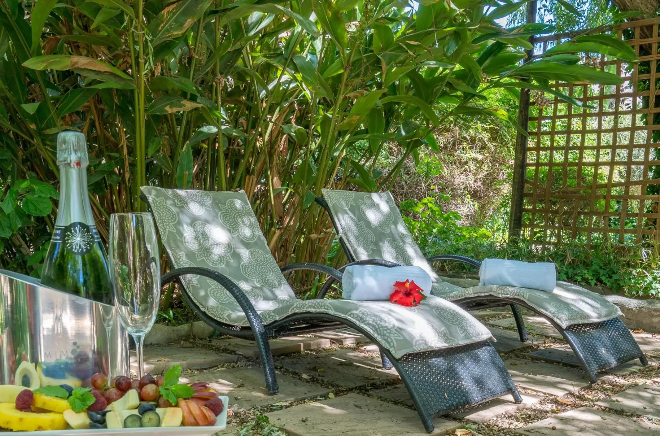 Toilet in Mimosa Lodge