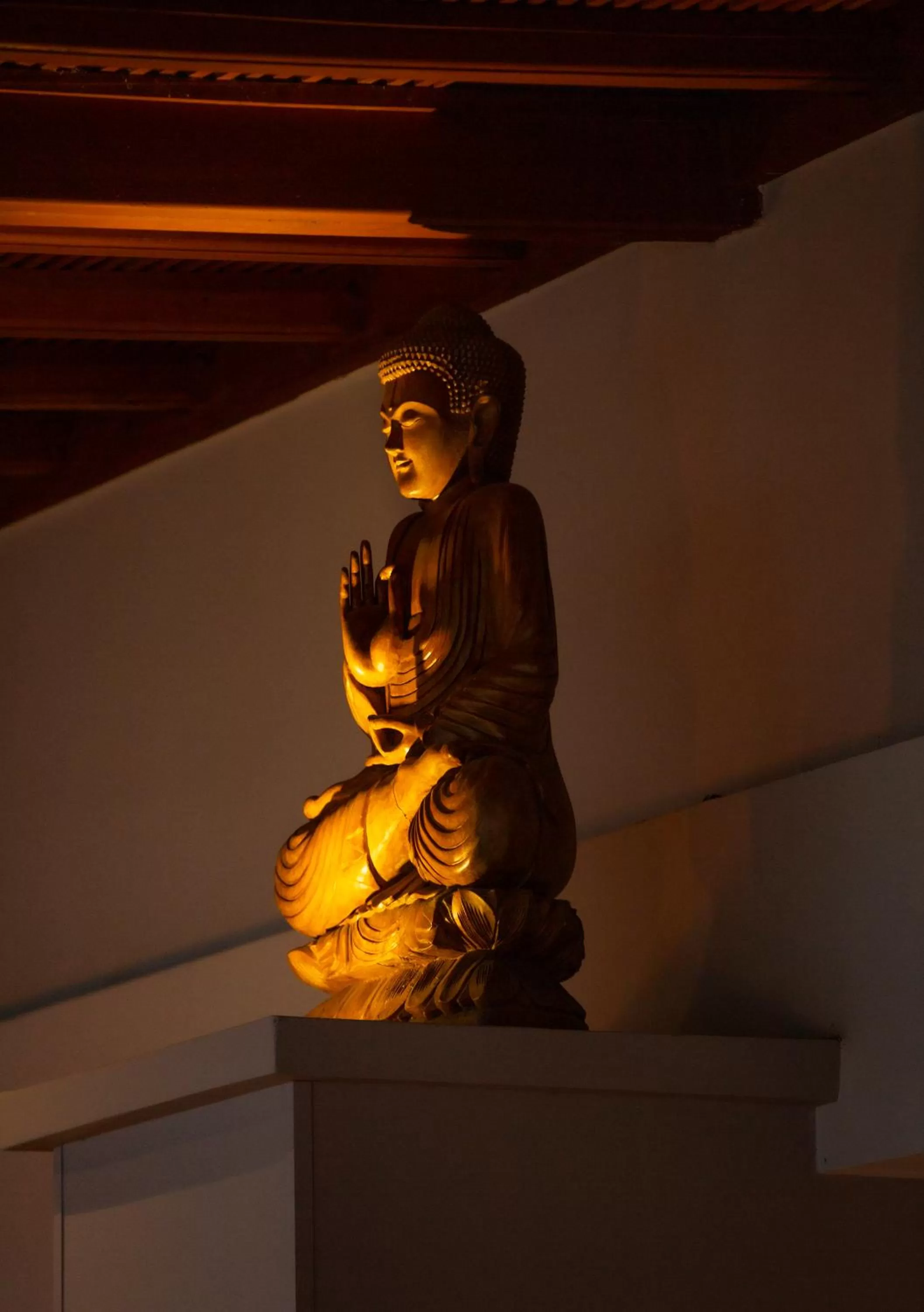 Night in Hotel Soratama