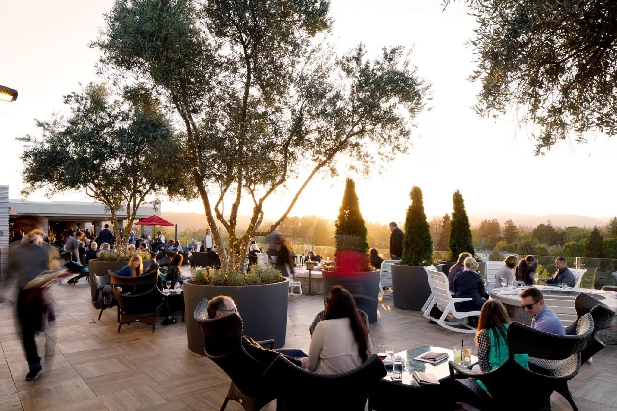 Lounge or bar in Archer Hotel Napa