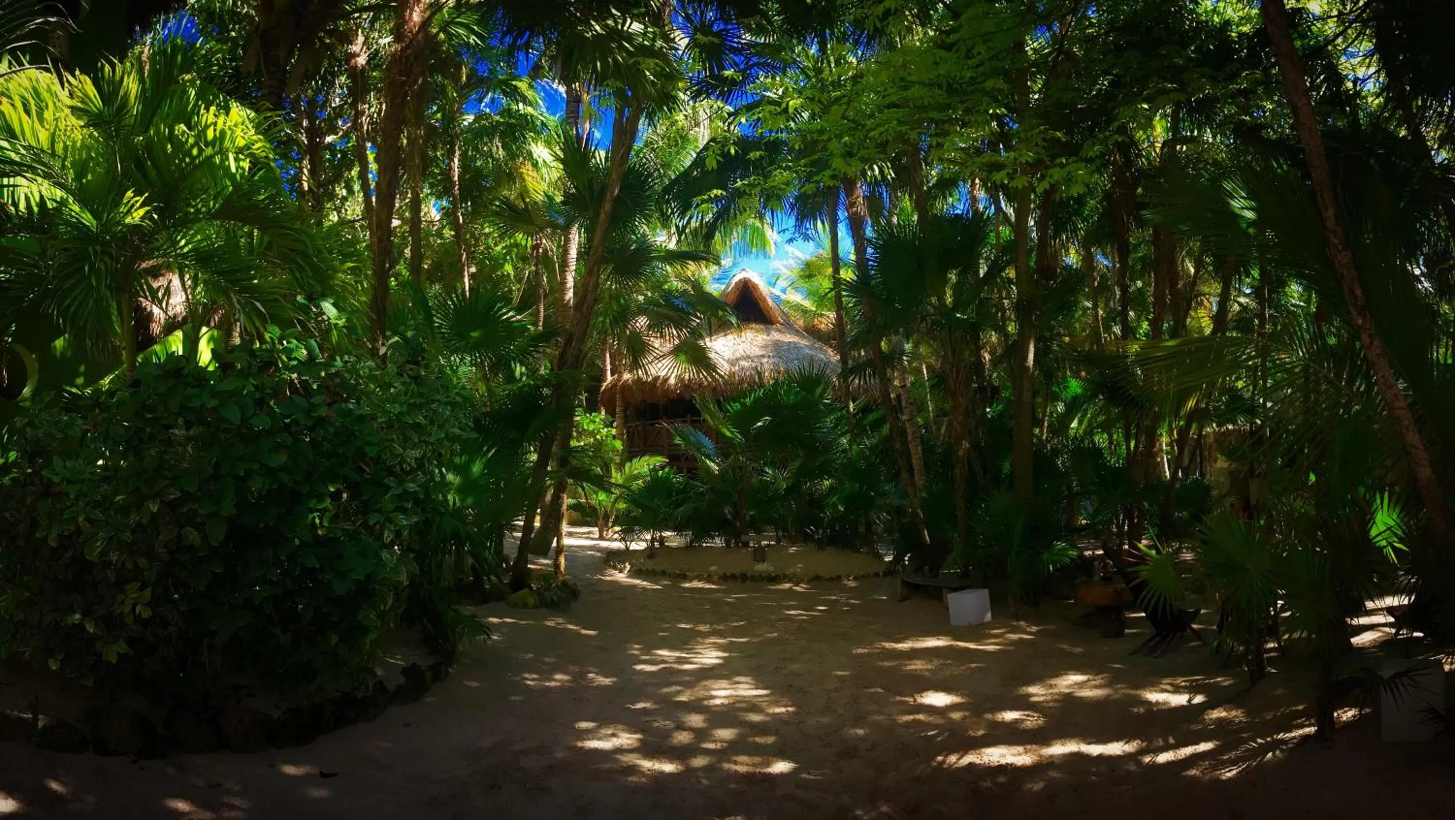 Garden in Sueños Tulum