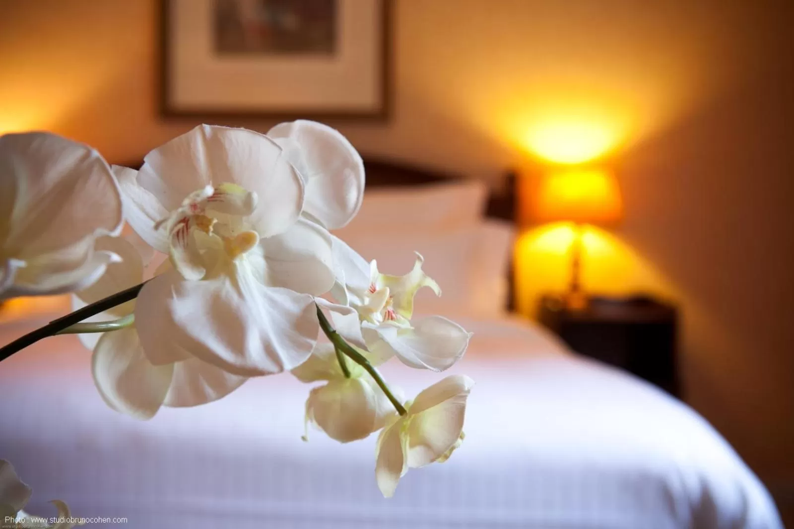 Decorative detail, Bed in Le Manoir de Gressy