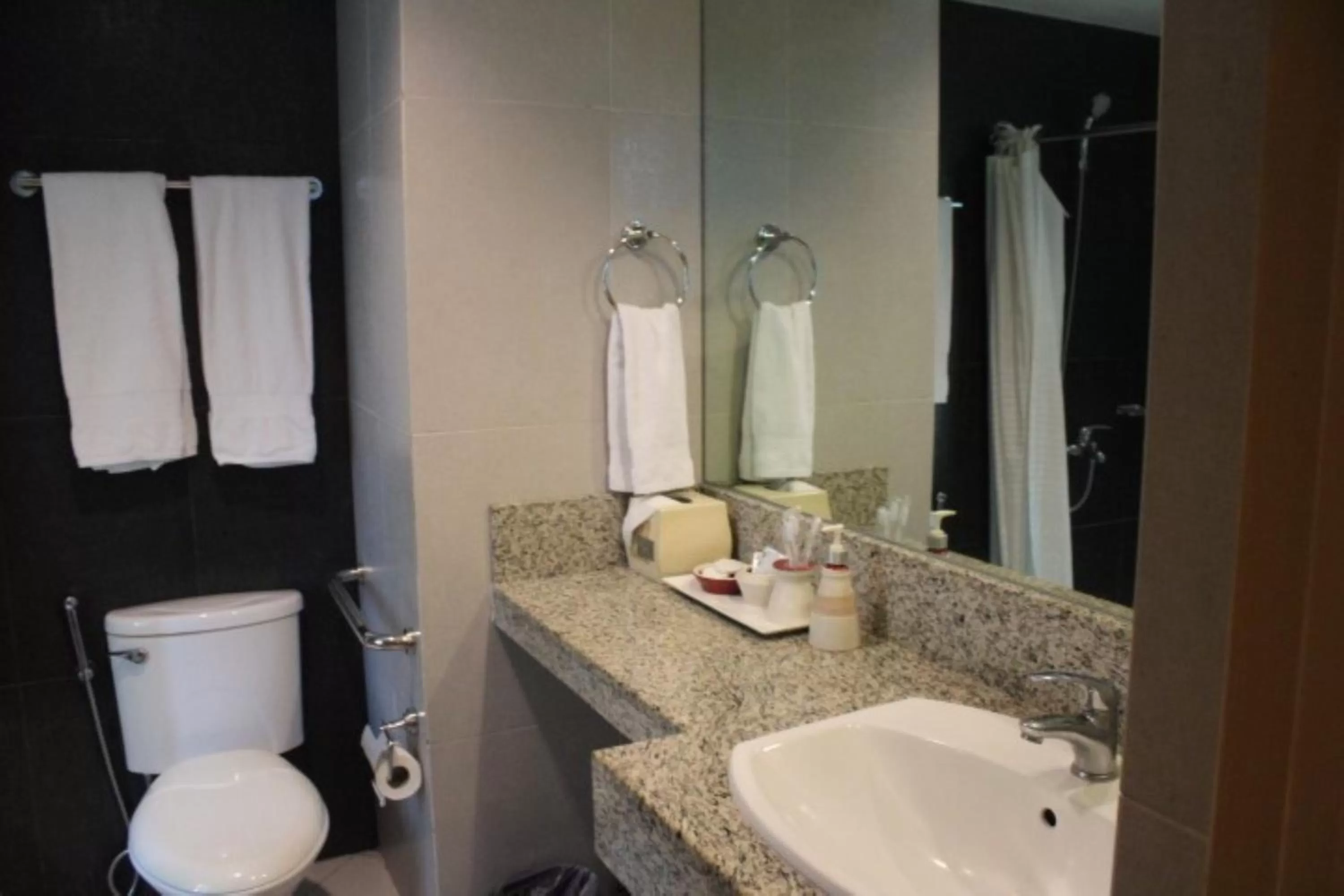 Bathroom in Festive Hotel Makati