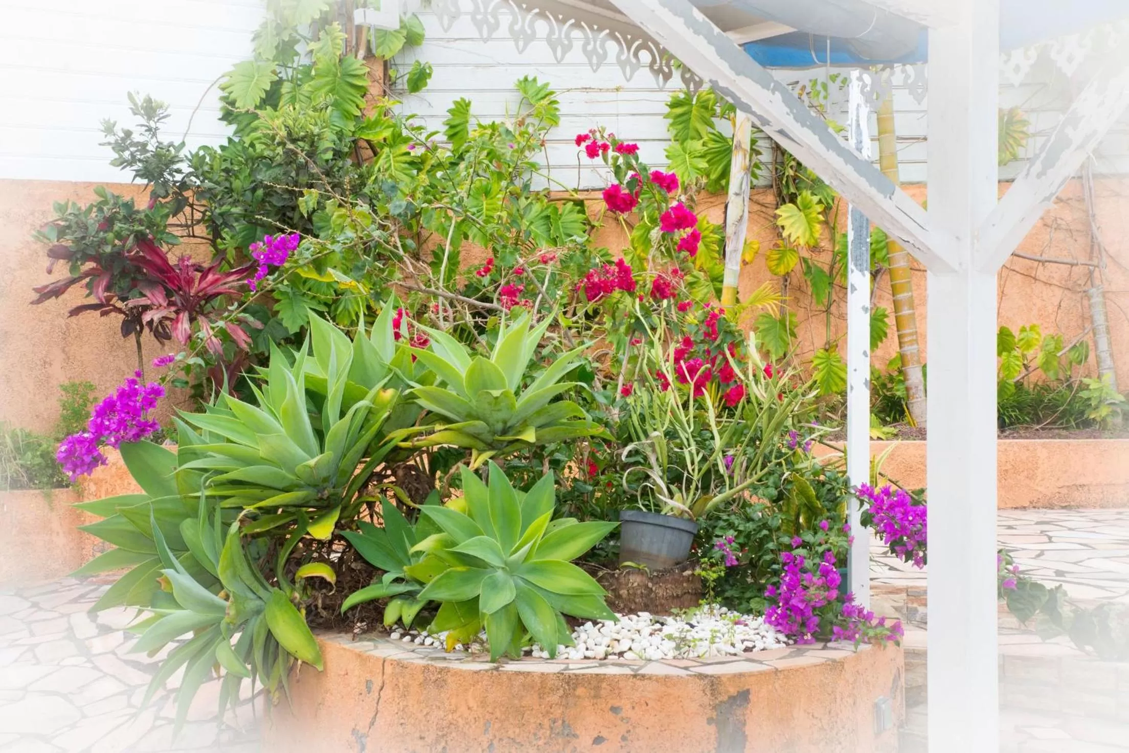 Patio in La Résidence des Caféiers - Le Tampon