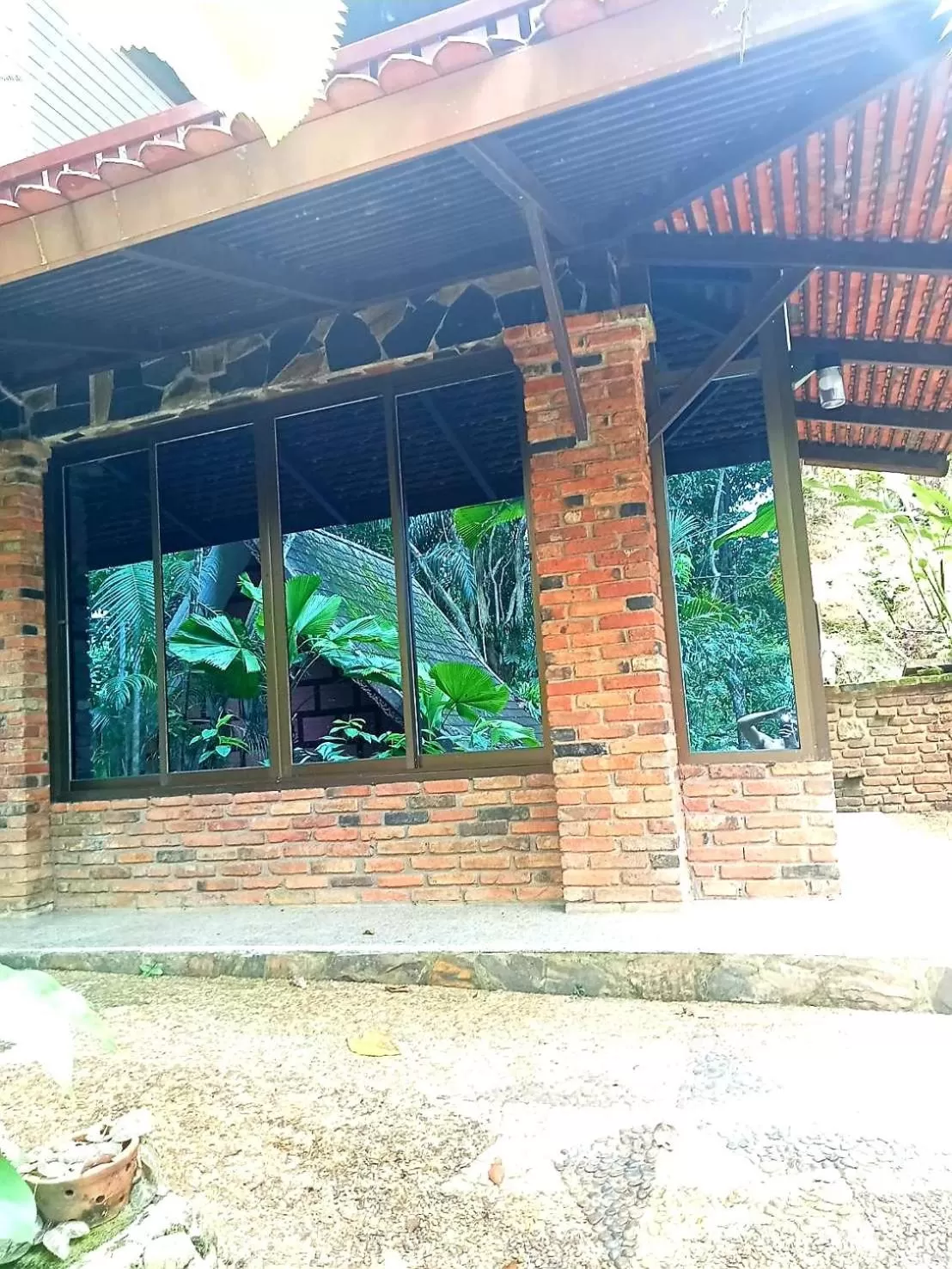 Property building in Khao Sok Las Orquideas Resort