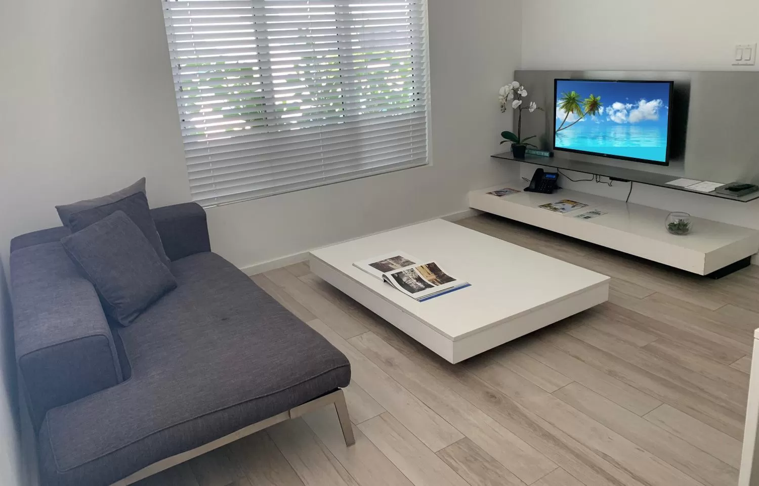 Living room in Beach Haus Key Biscayne Contemporary Apartments