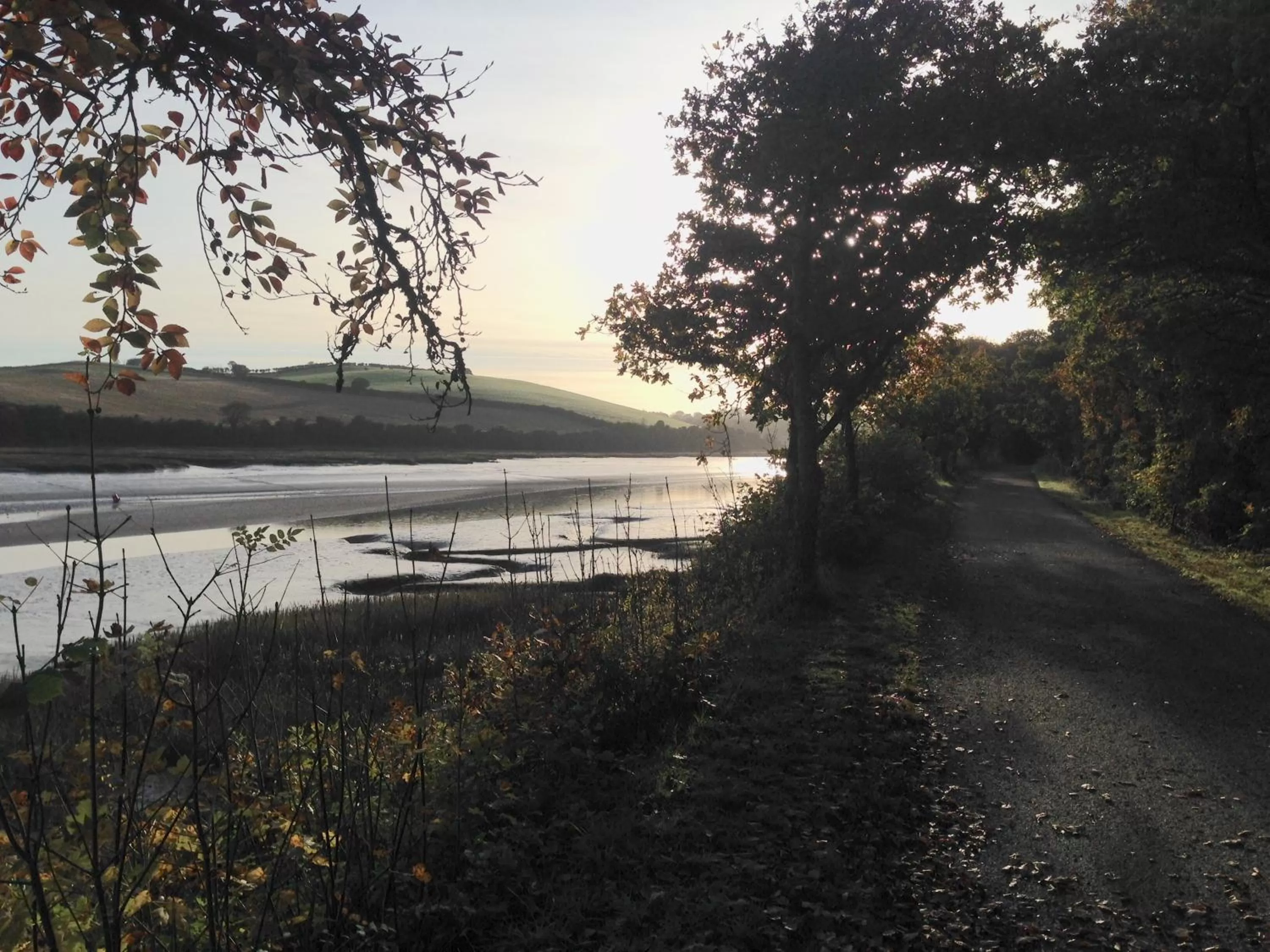 Off site in Treweens