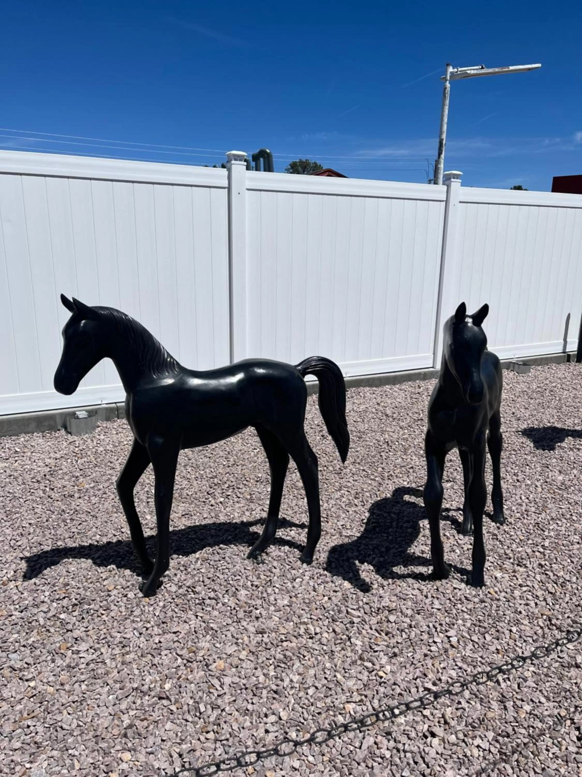 Property building, Pets in El Rancho Motel