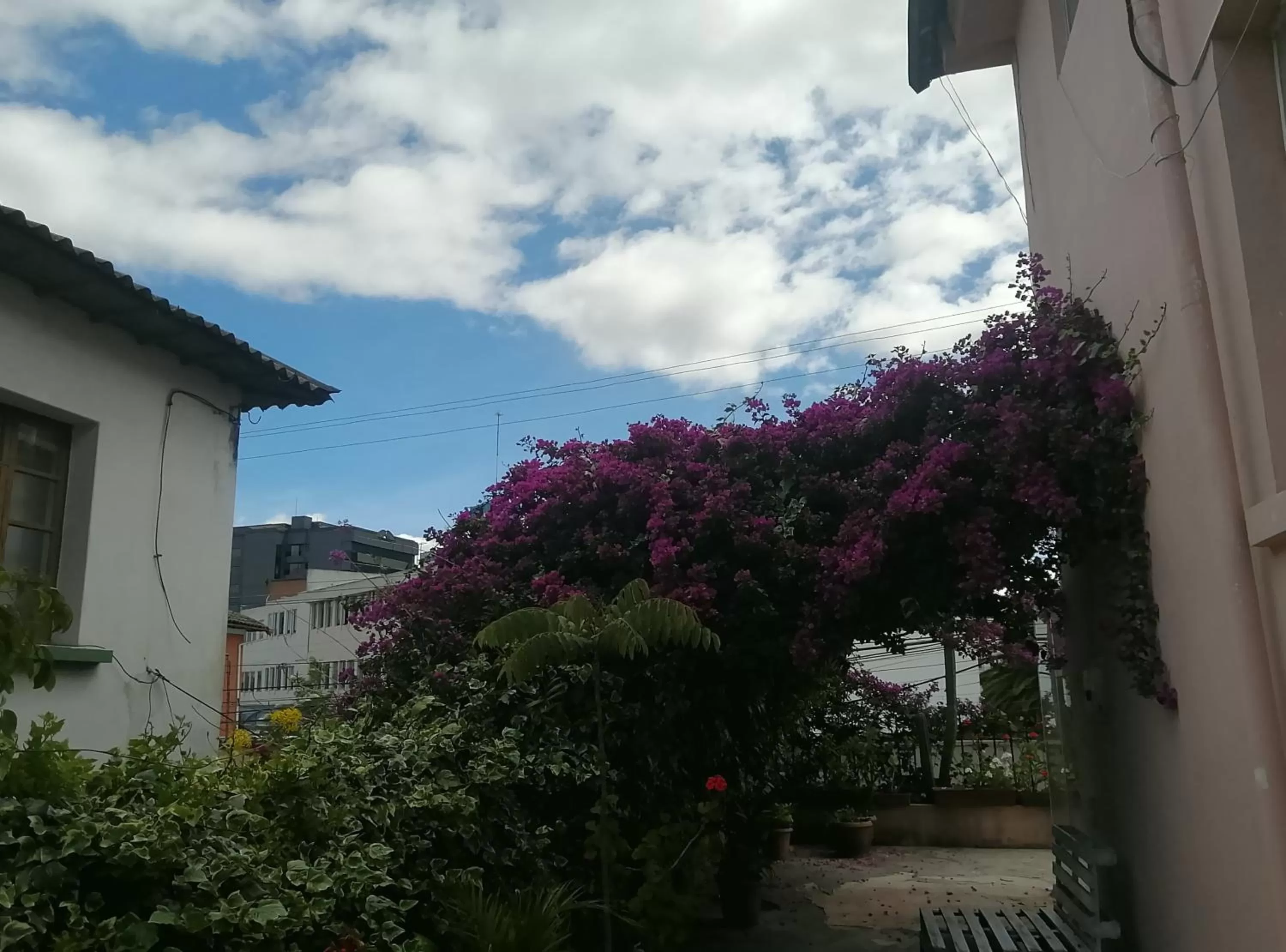 Balcony/Terrace in Bird Garden Guest House