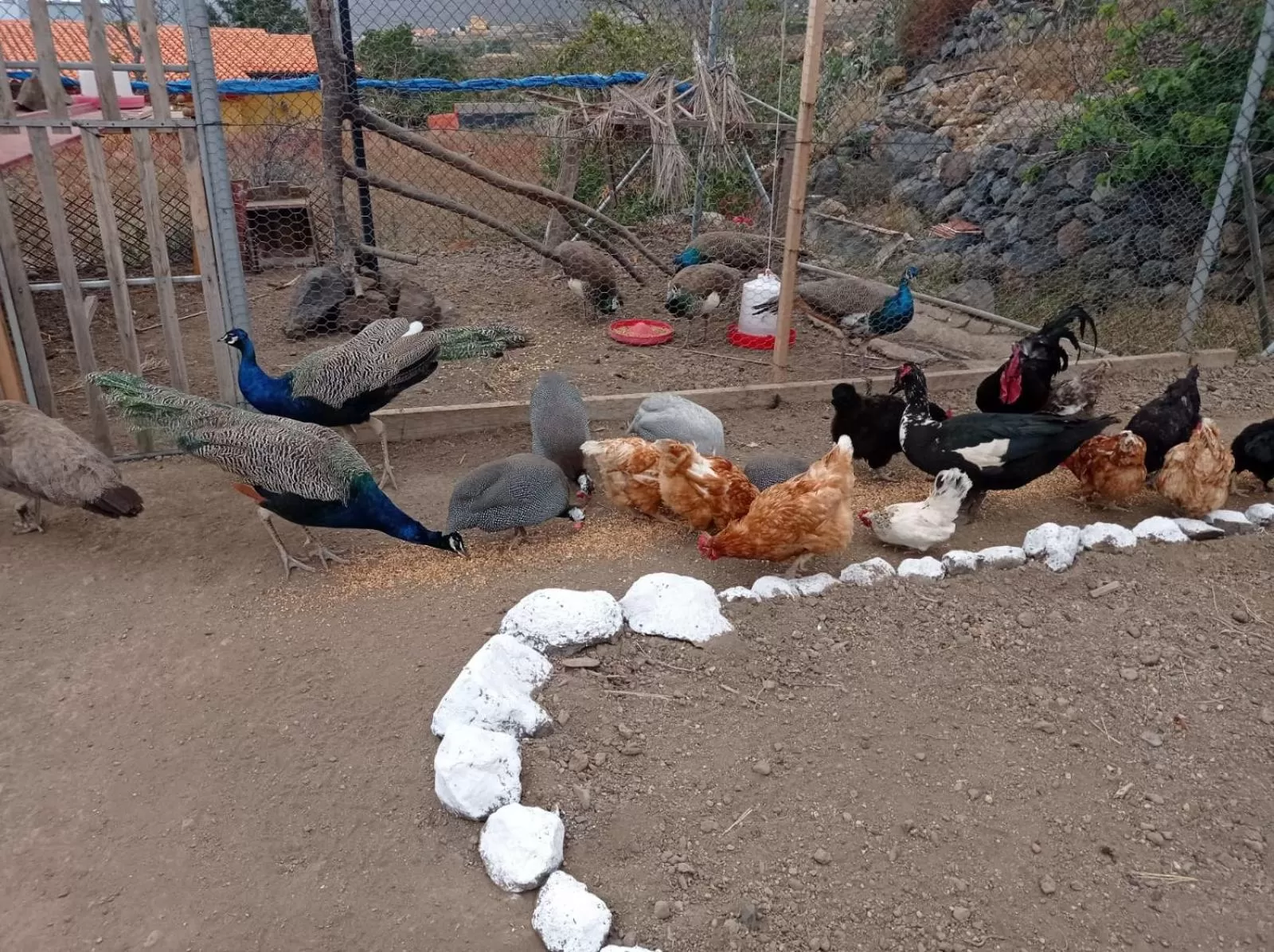 Children play ground in Hotel Rural La Raya 1866
