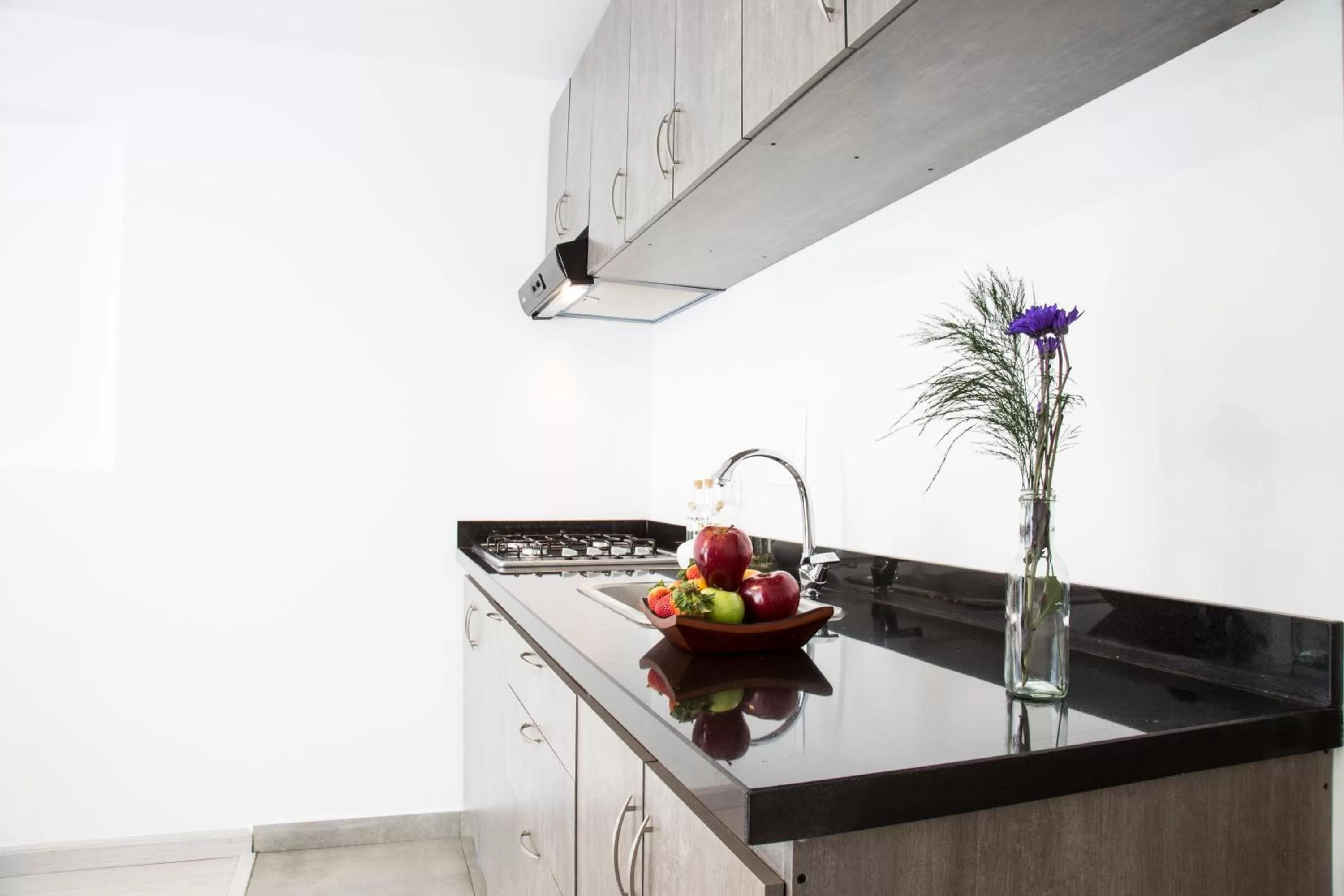 Kitchen or kitchenette in Agora Suites Self-Service Boutique Hotel