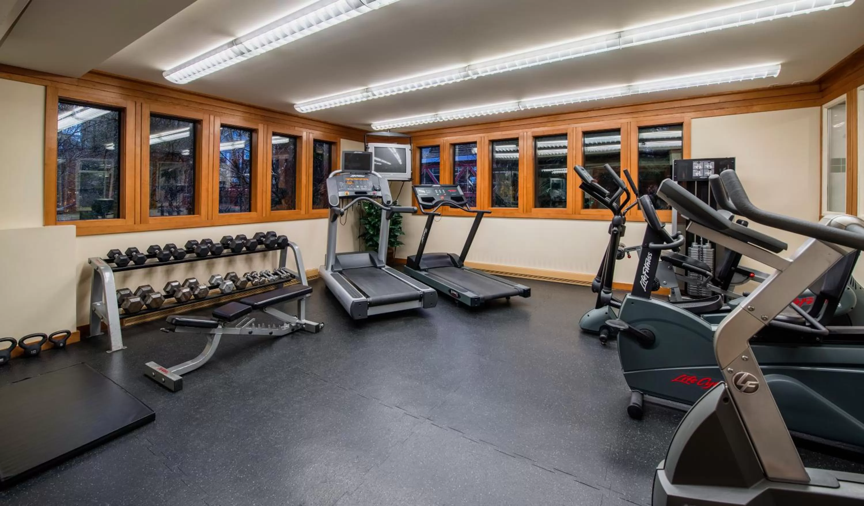 Activities in Whistler Village Inn & Suites