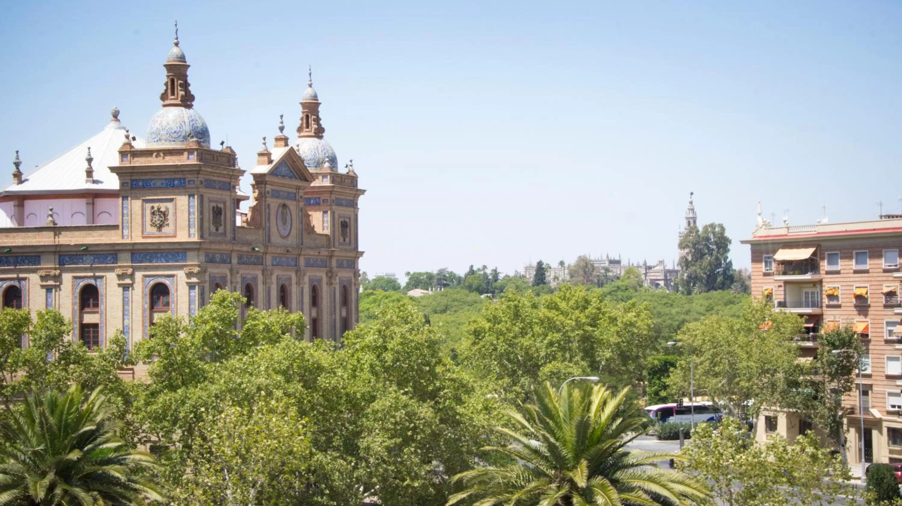 Area and facilities in Hotel Pasarela