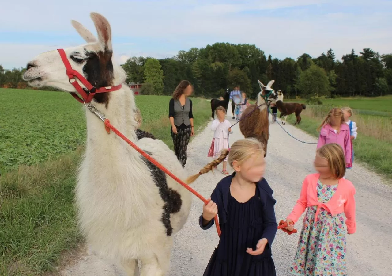 Animals in Naturschlosshotel Blumenthal