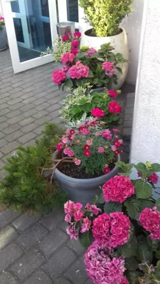 Property building in Pensjonat Landrynka