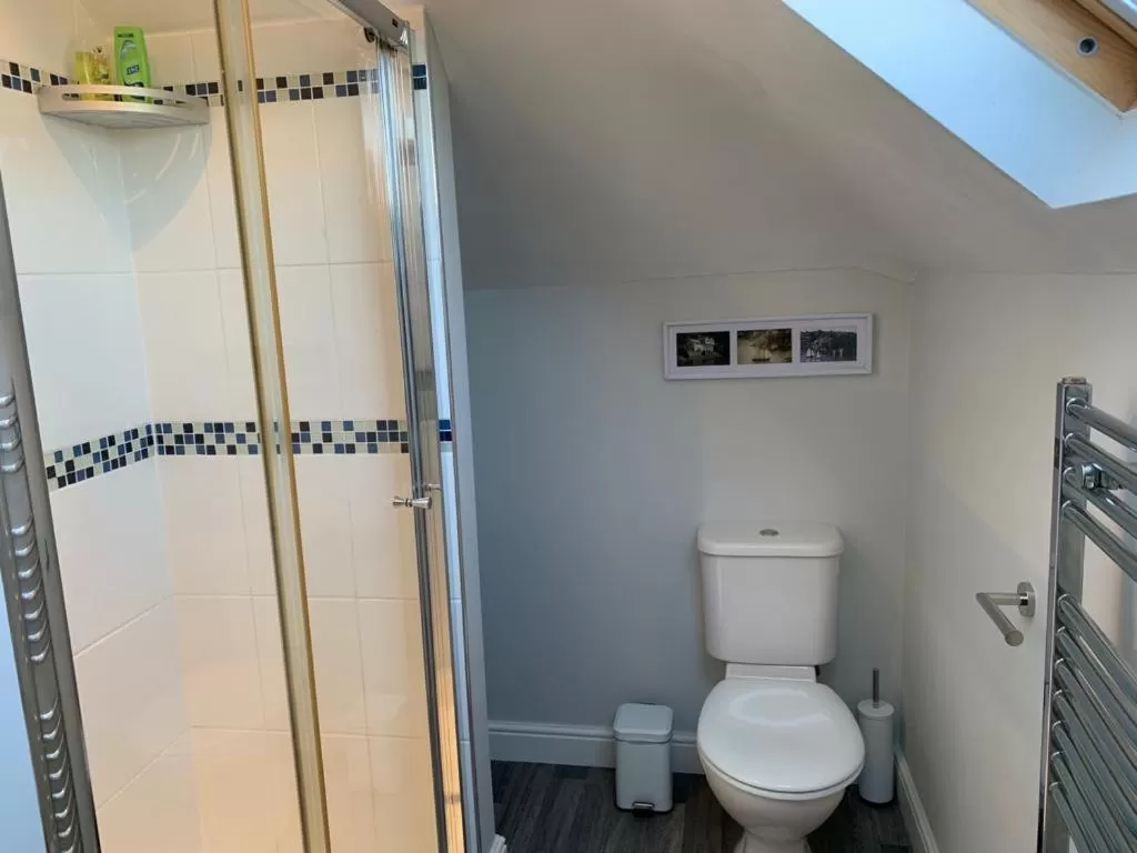 Bathroom in TRETHEWEY GUEST HOUSE