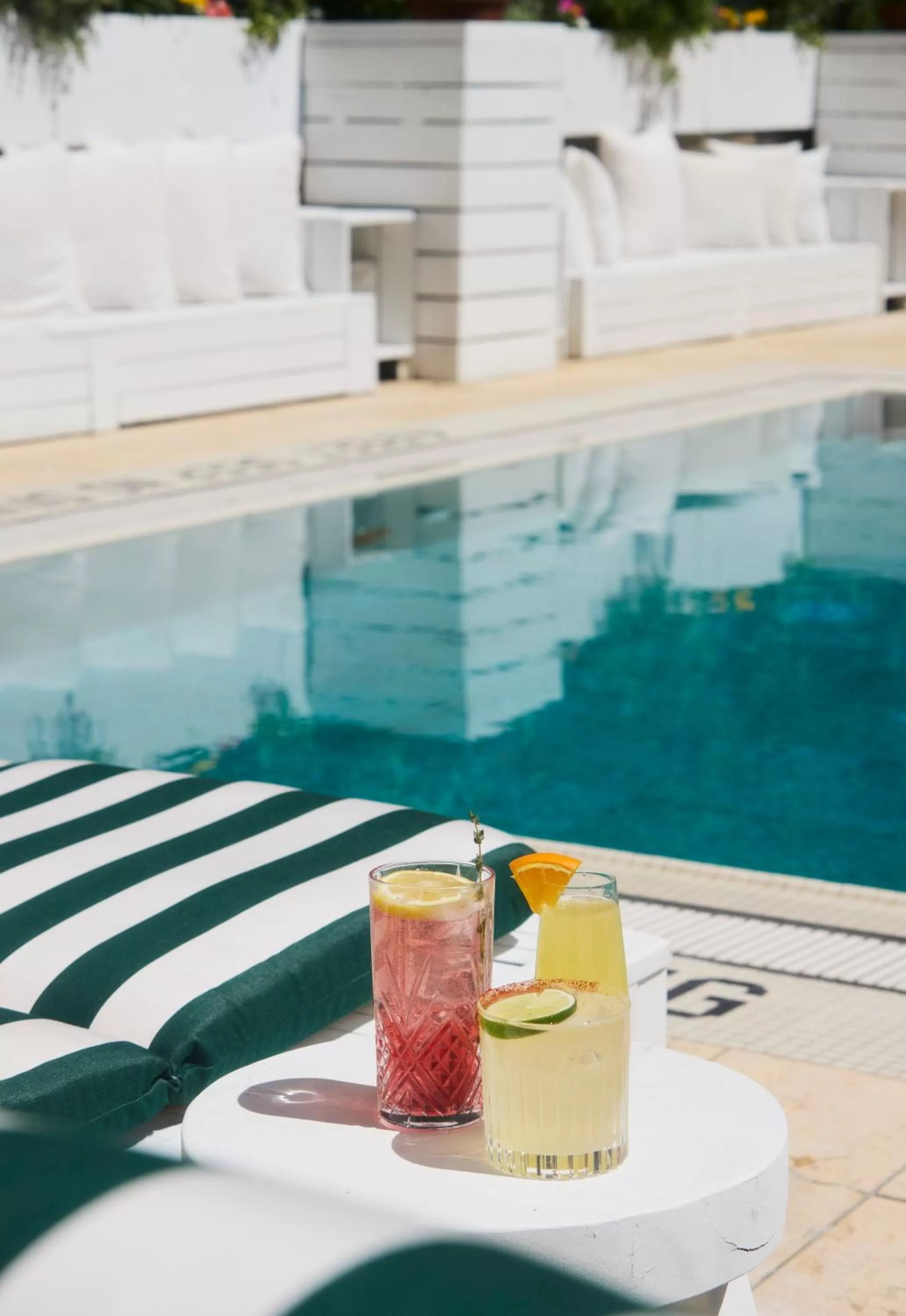 Swimming pool in CODA Williamsburg