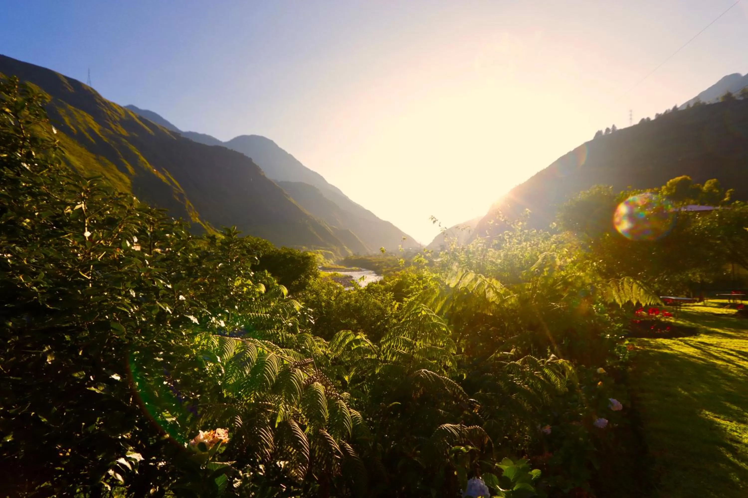 Garden in Aldea Real Eco Friendly