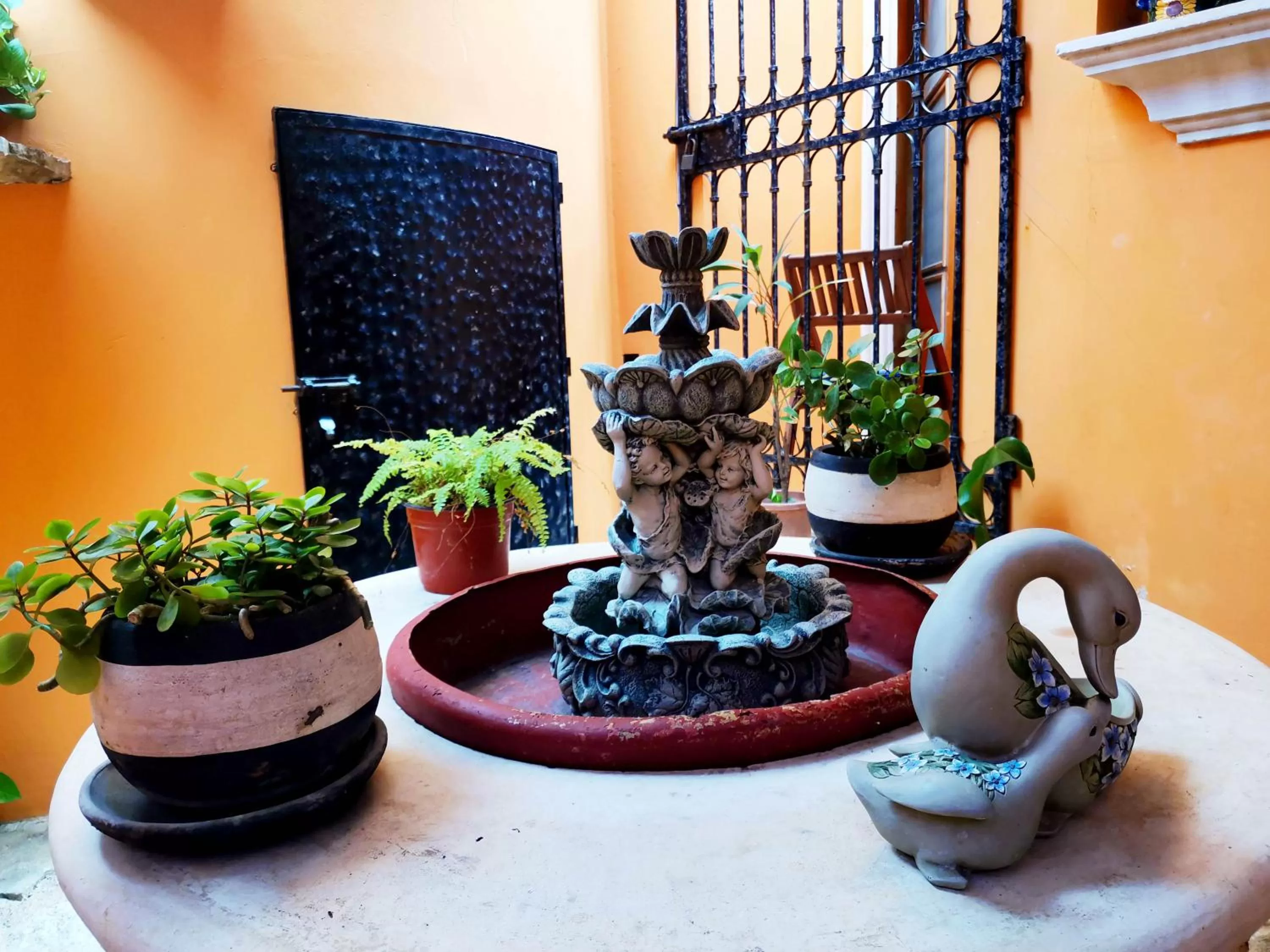 Area and facilities in Hotel Casa Mallorca